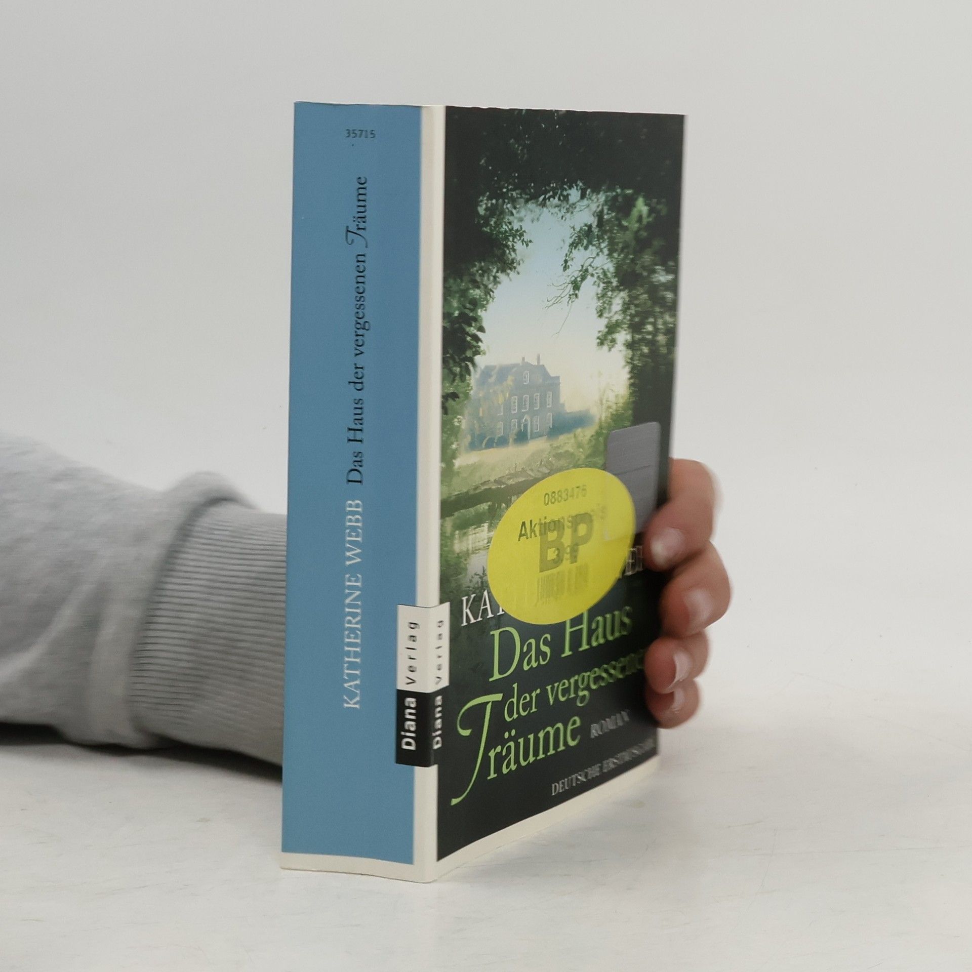Katherine Webb Das Haus der vergessenen Träume