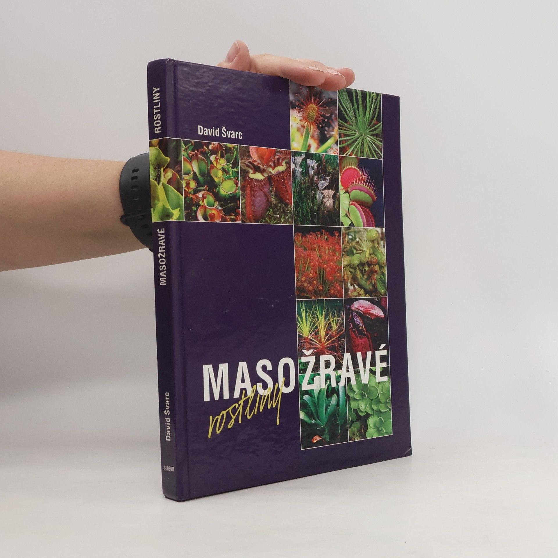 Masožravé rostliny