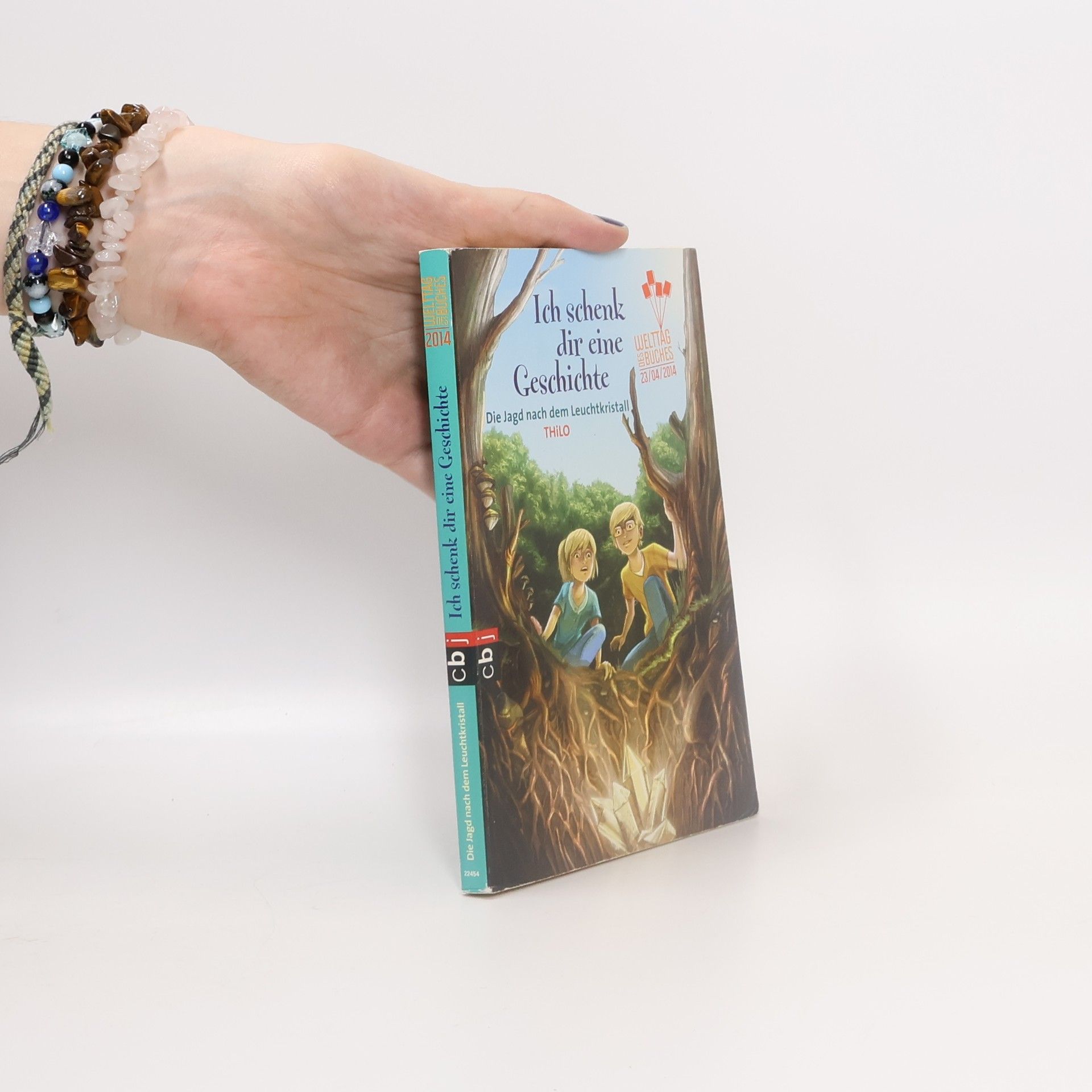 Thilo Petry-Lassak Die Jagd nach dem Leuchtkristall
