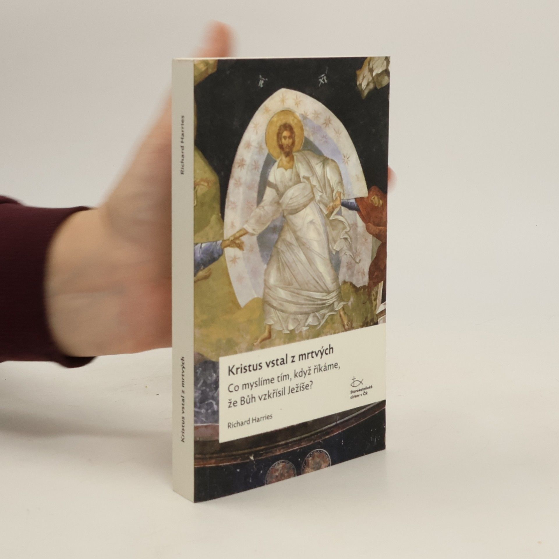 Kristus vstal z mrtvých : co myslíme tím, když říkáme, že Bůh vzkřísil Ježíše?