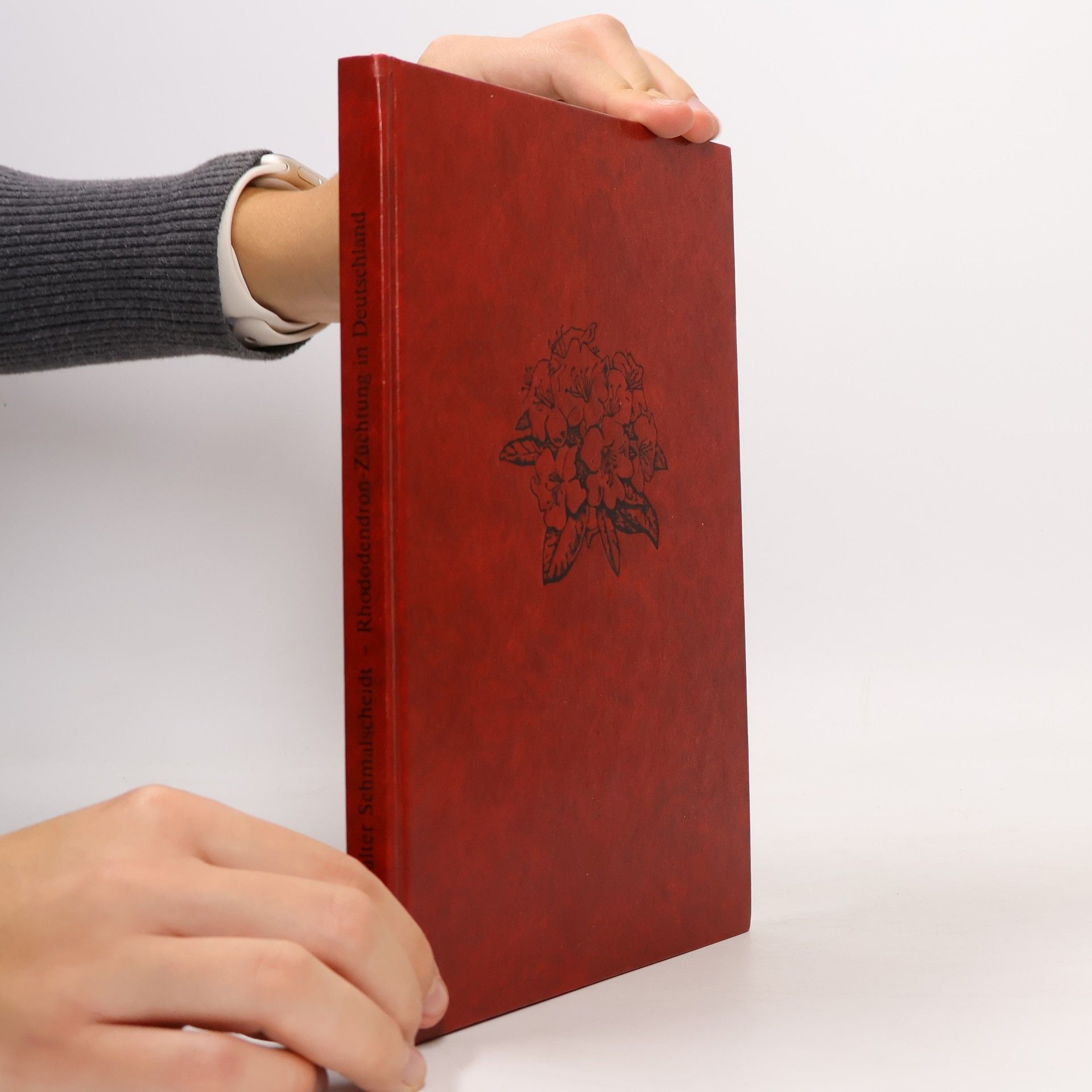 Walter Schmalscheidt Rhododendron-Züchtung in Deutschland