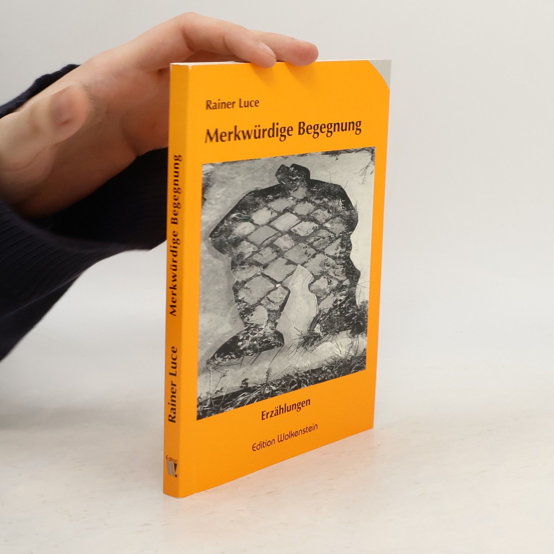 Rainer Luce Merkwürdige Begegnung