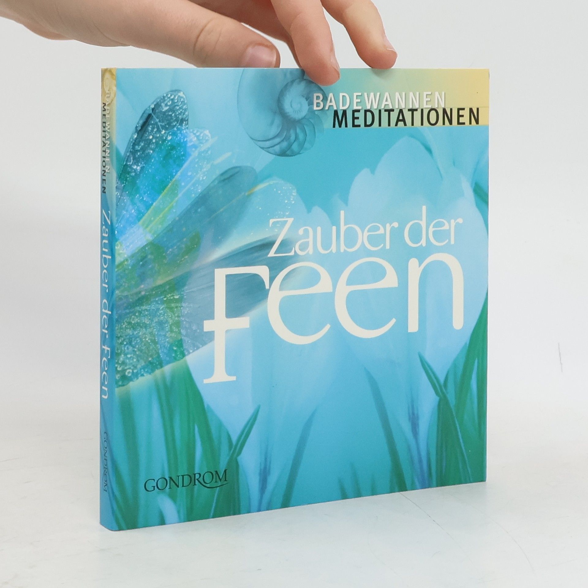 Zora Gienger Zauber der Feen