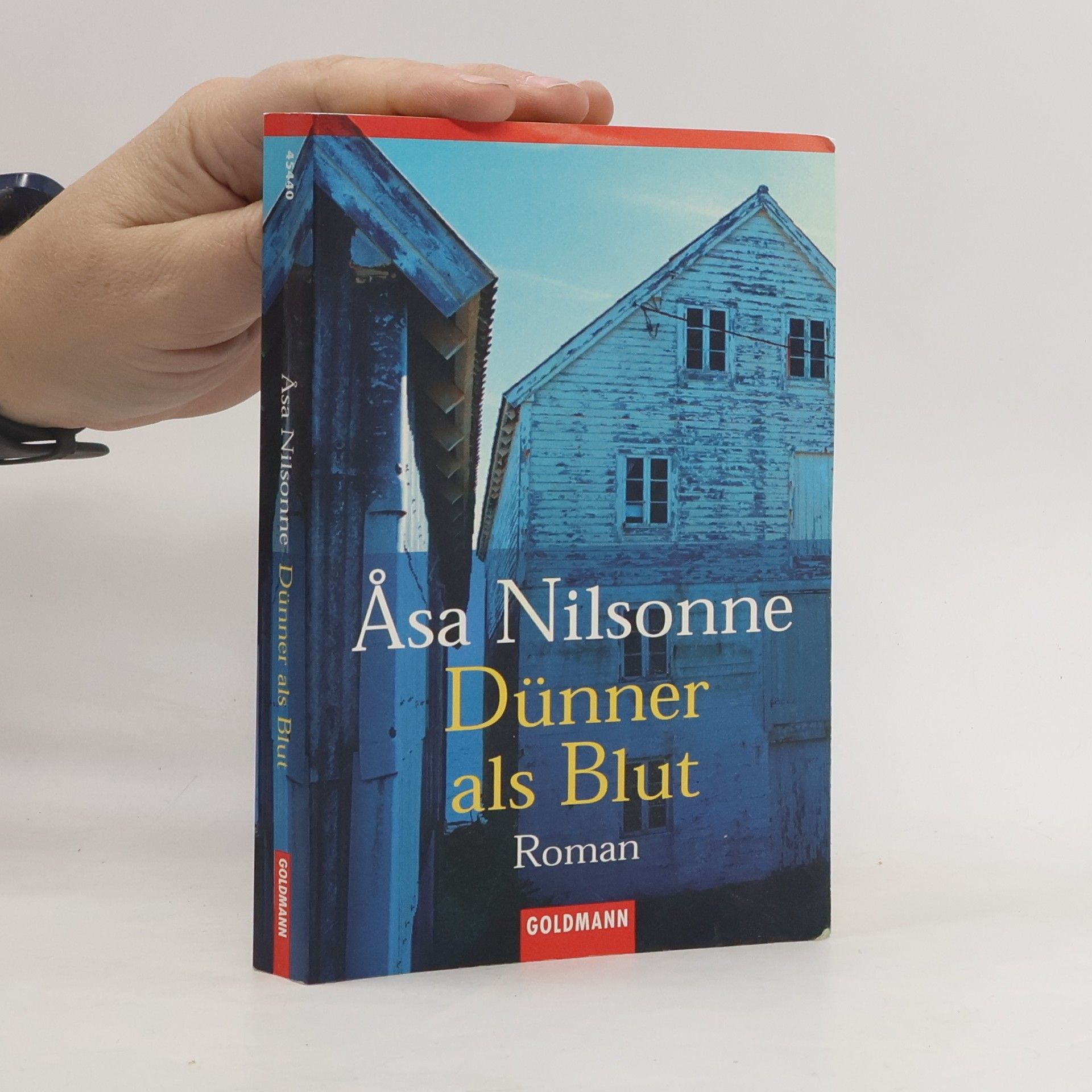 Åsa Nilsonne Dünner als Blut