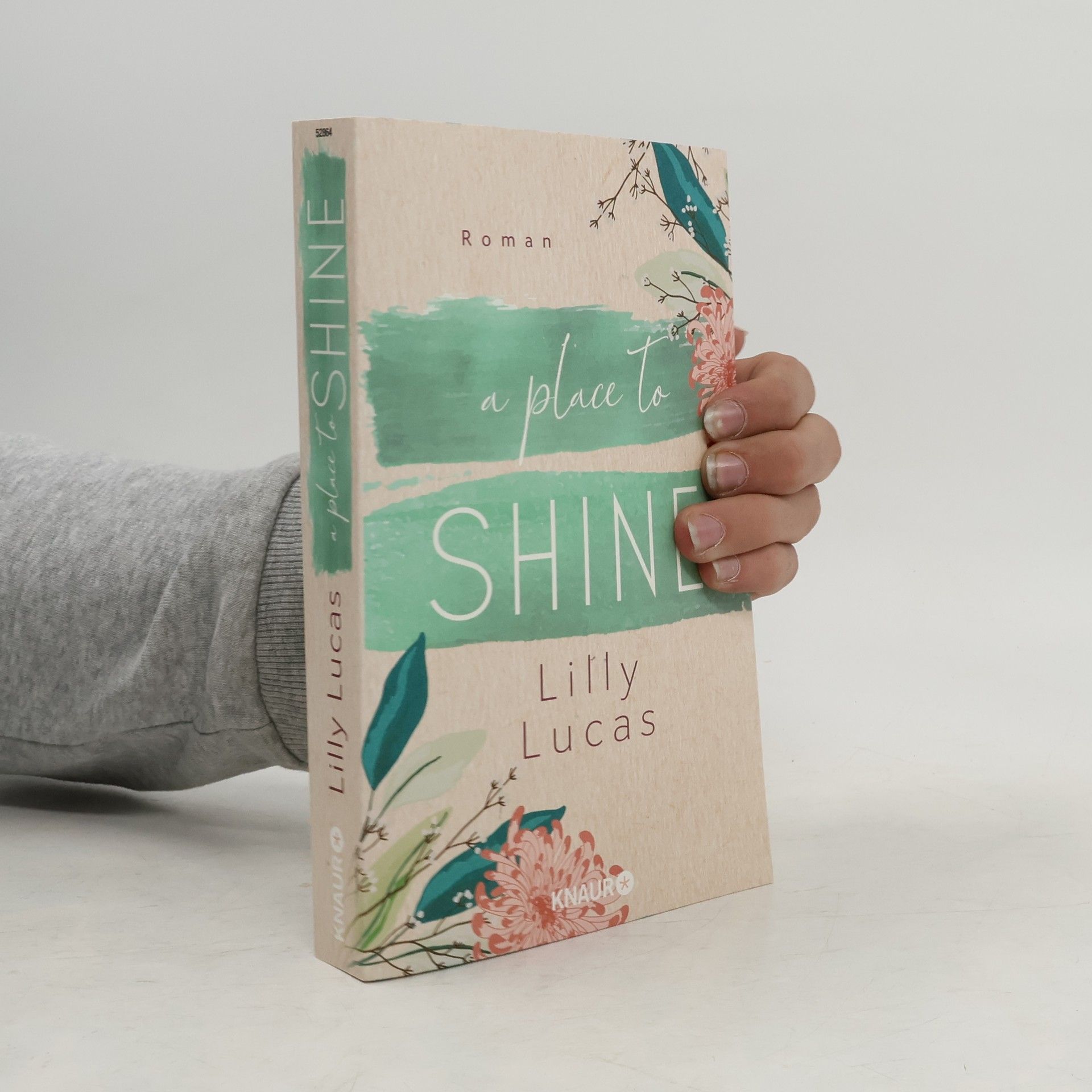 Lilly Lucas A Place to Shine