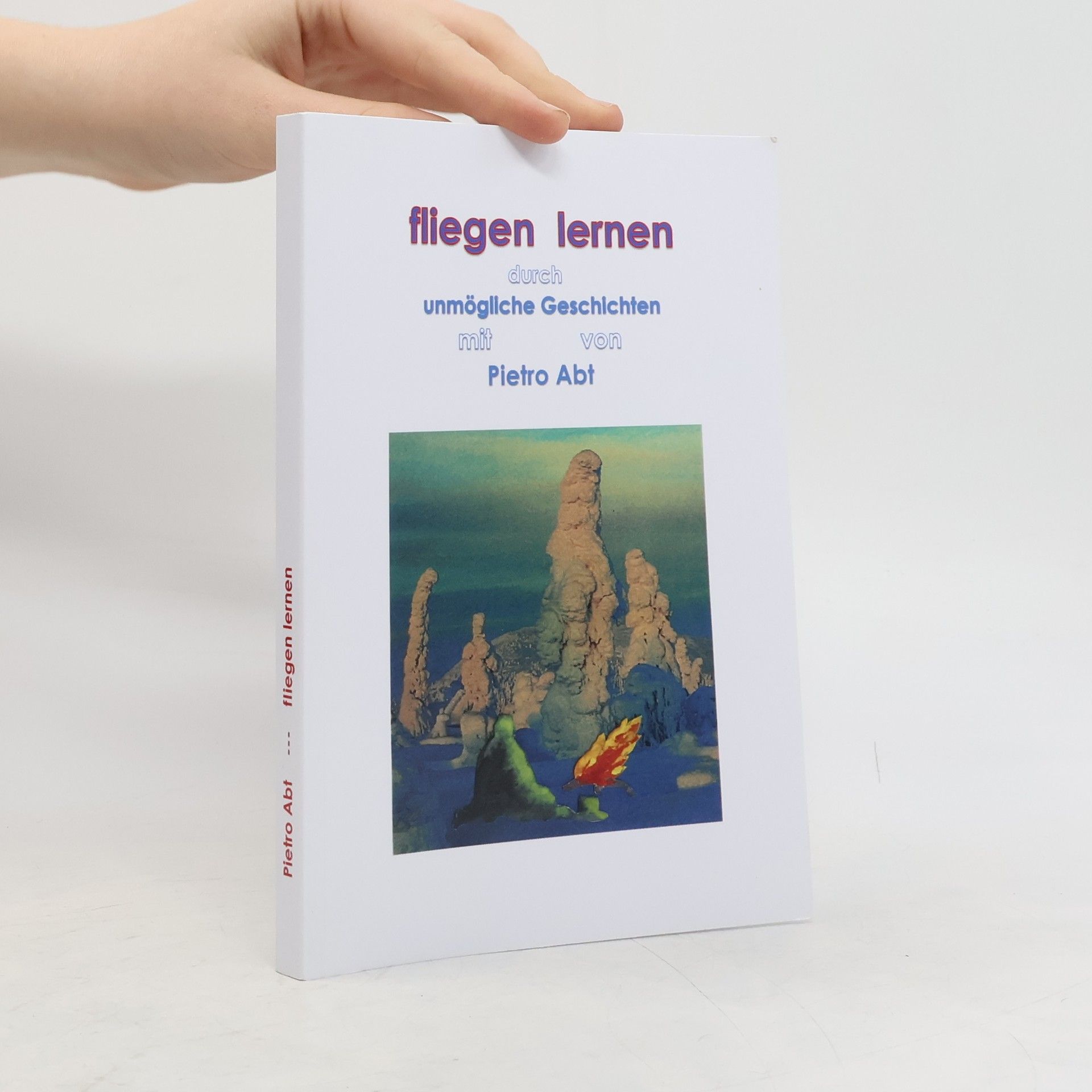 Pietro Abt Fliegen lernen