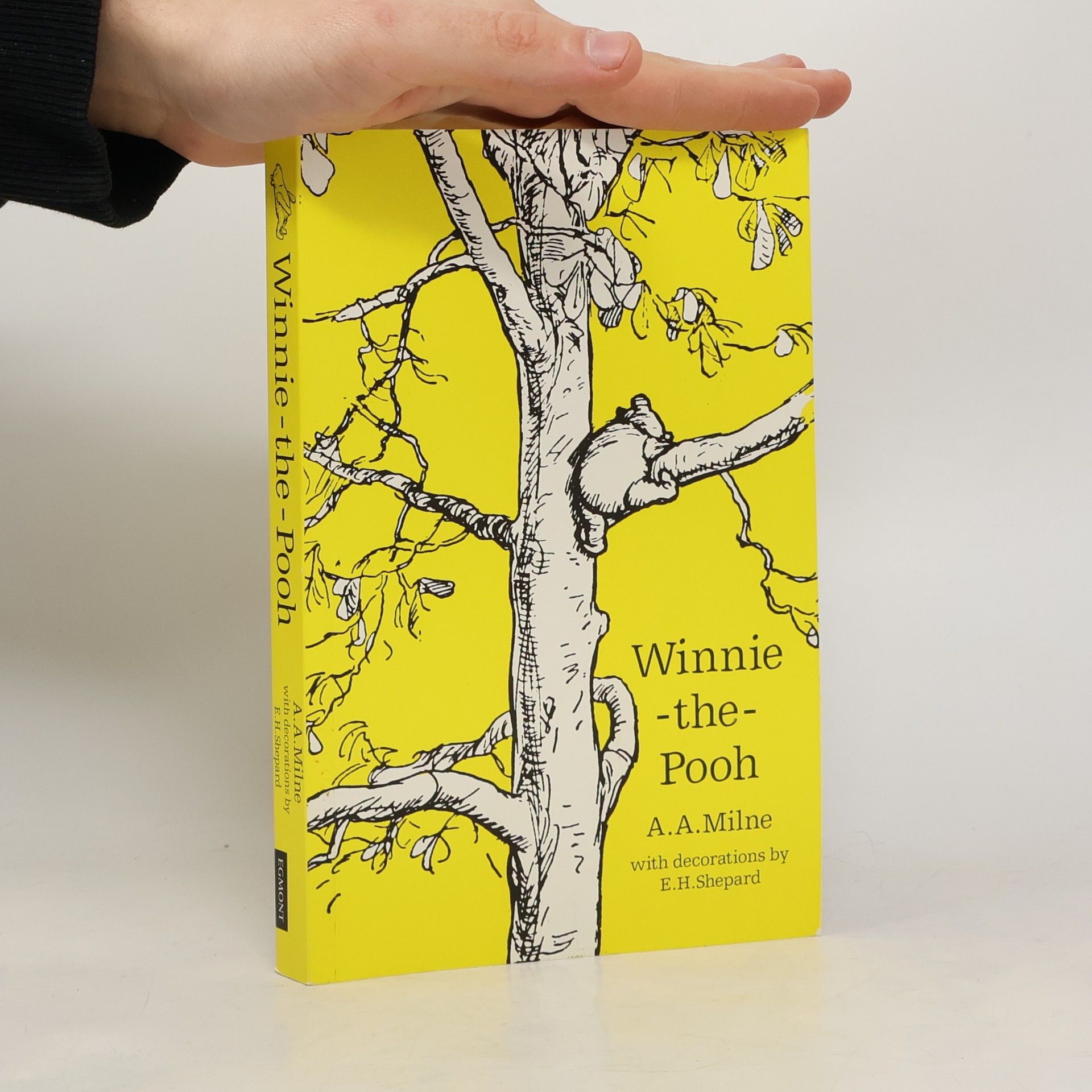 A. A. Milne Winnie the Pooh 90th Anniversary Slipcase