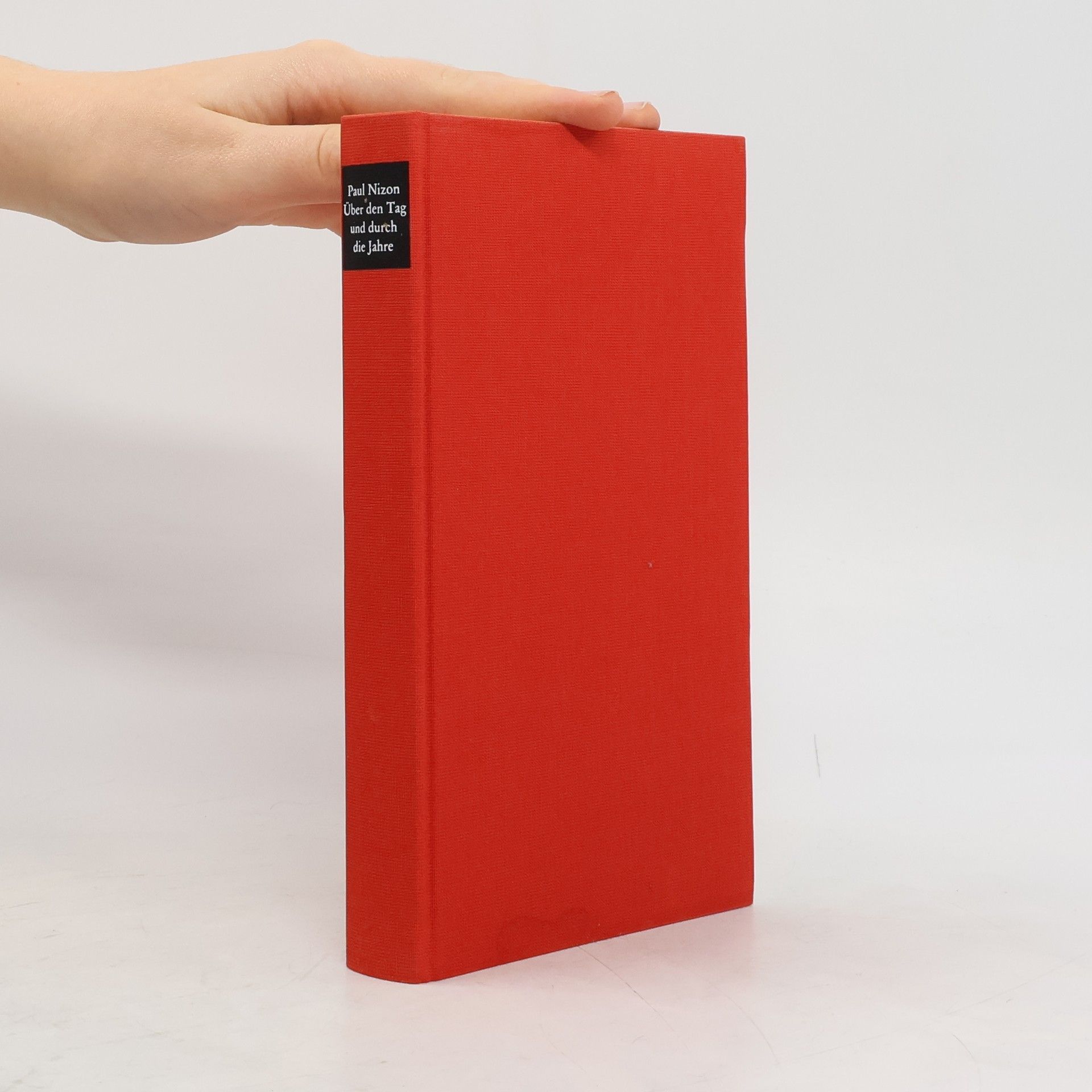 Paul Nizon Über den Tag und durch die Jahre