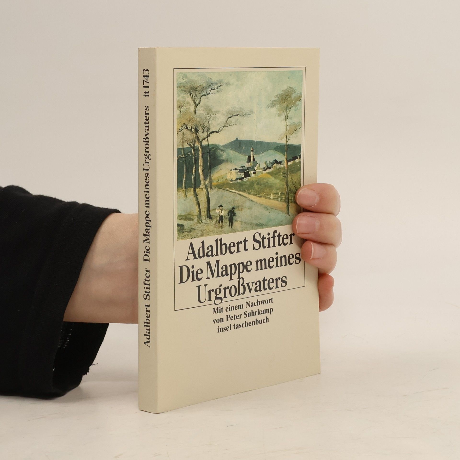 Adalbert Stifter Insel Taschenbuch - 1743: Die Mappe meines Urgroßvaters