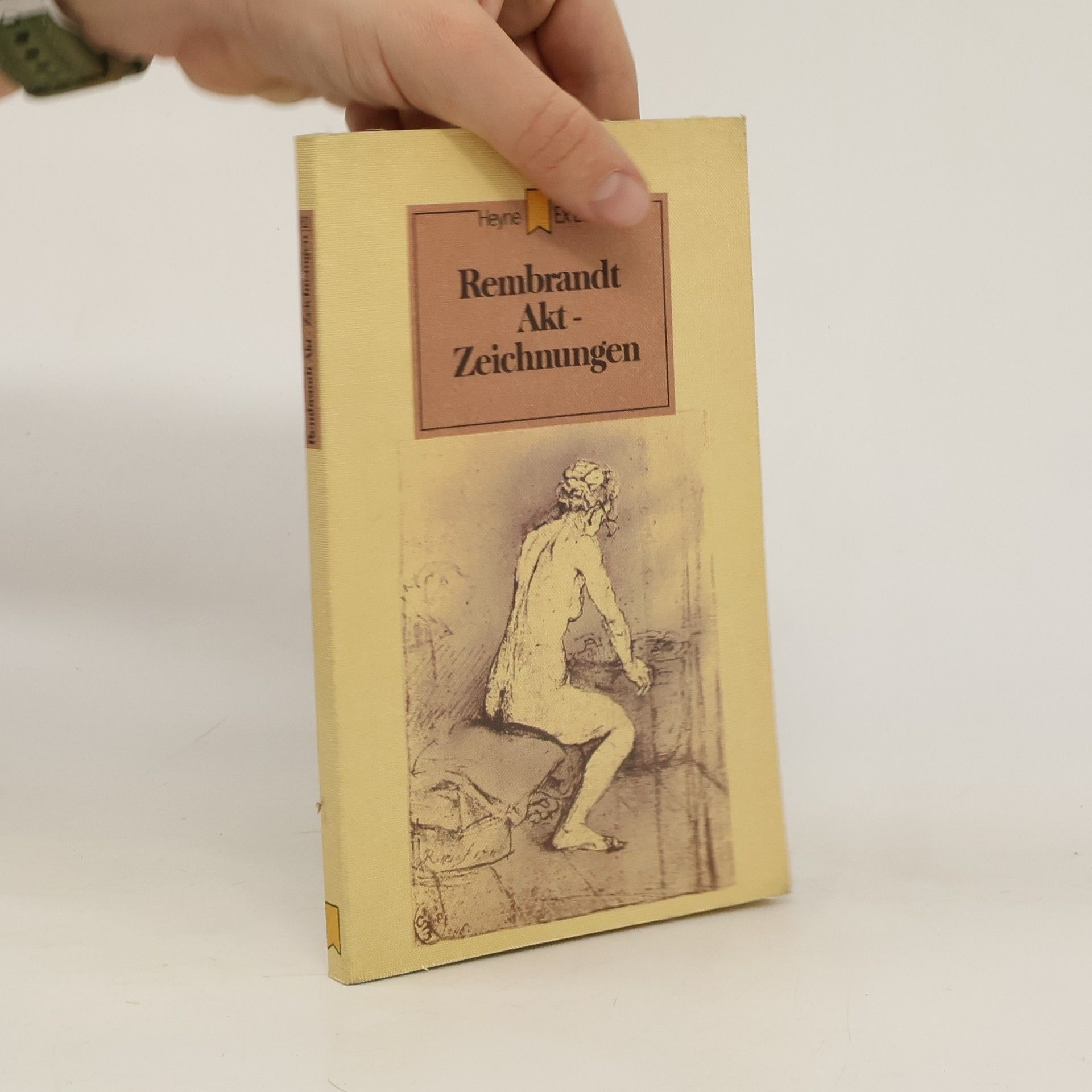 Rembrandt Akt-Zeichnungen und Radierungen