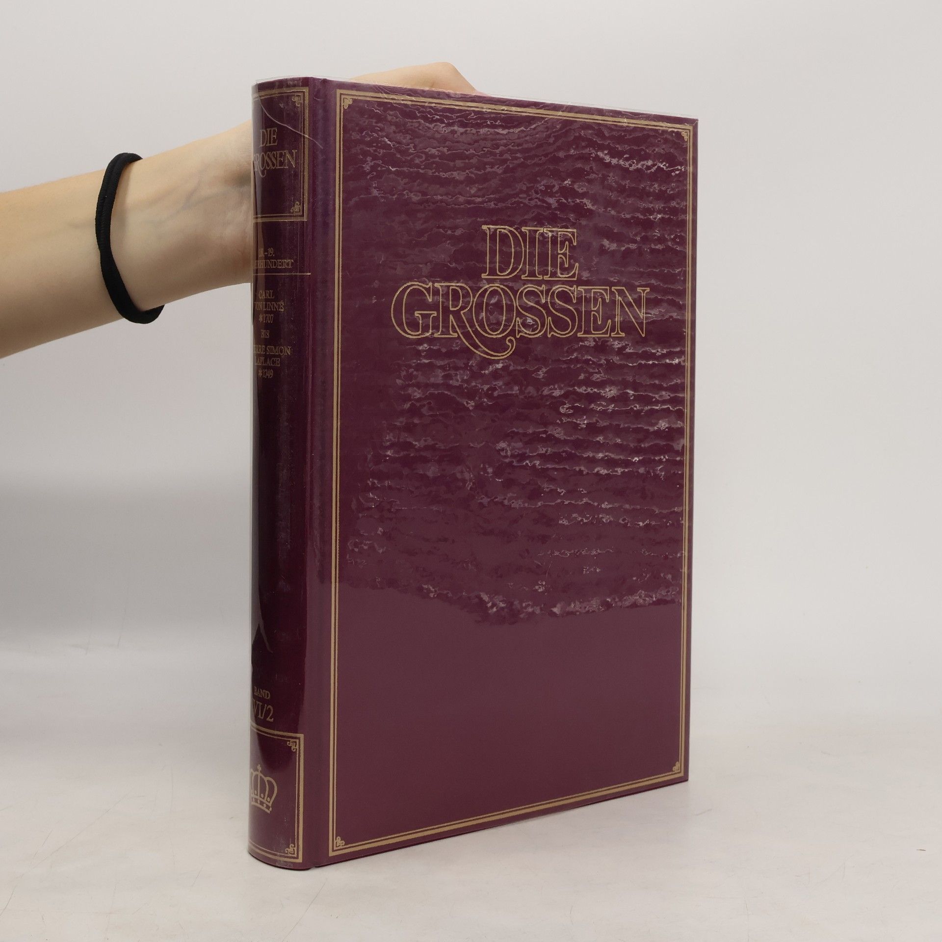 Auteurscollectief Die Grossen VI/2