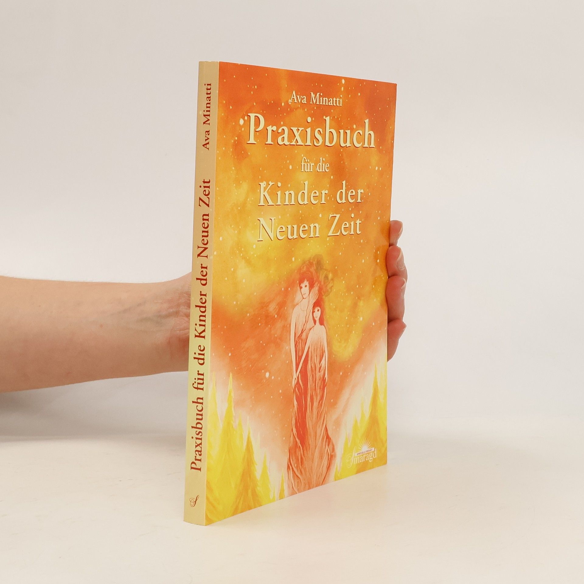 Ava Minatti Praxisbuch für die Kinder der neuen Zeit