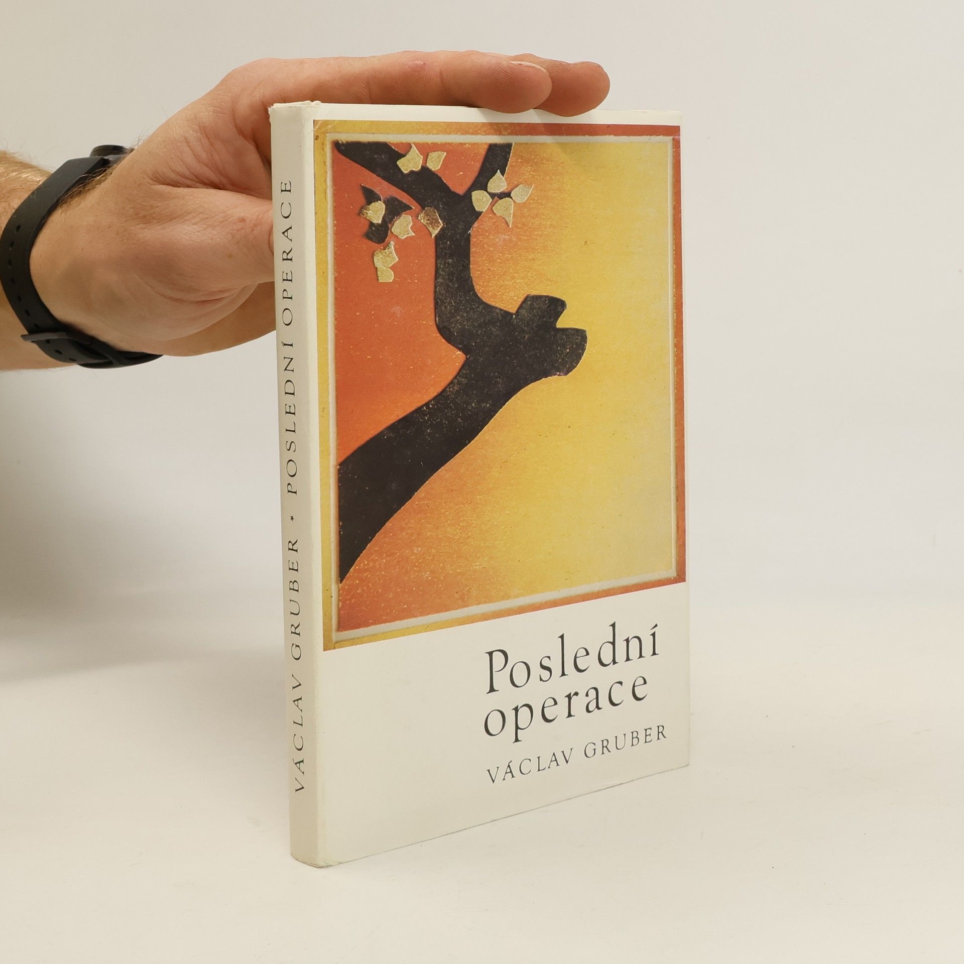 Václav Gruber Poslední operace
