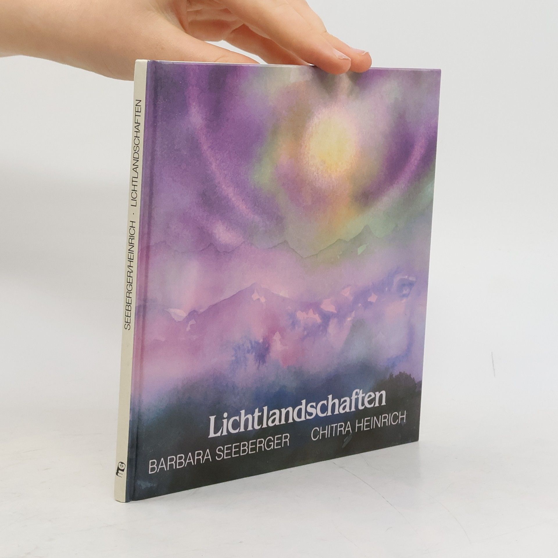 Barbara Seeberger Lichtlandschaften
