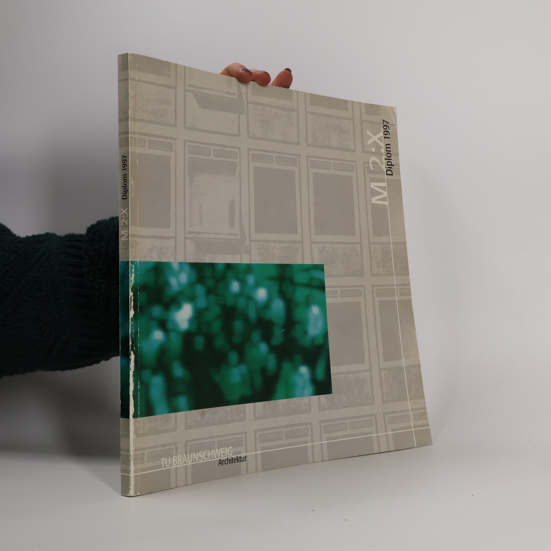 Tanja Ammann M 2:X - Diplom 1997