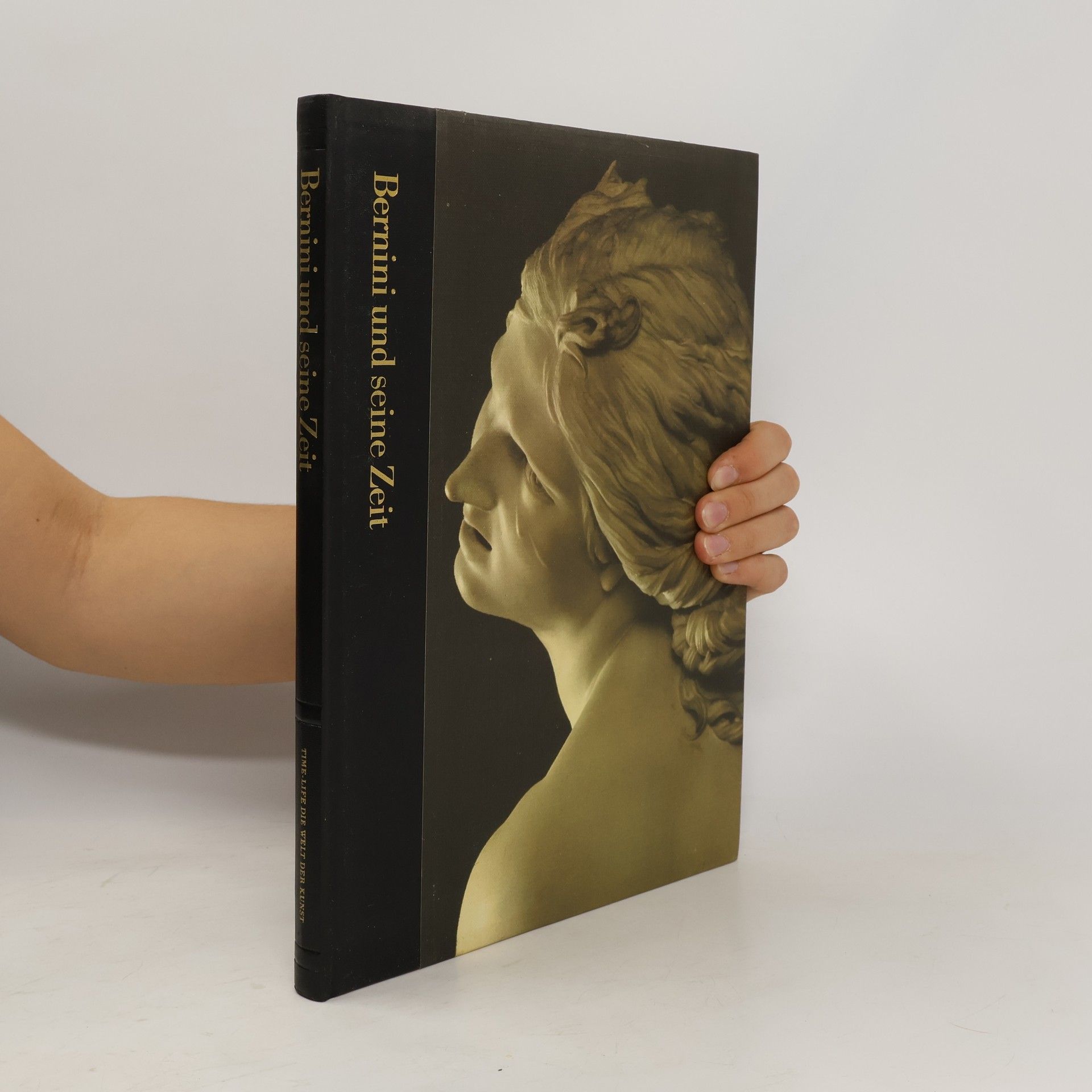 Robert Wallace Bernini und seine Zeit