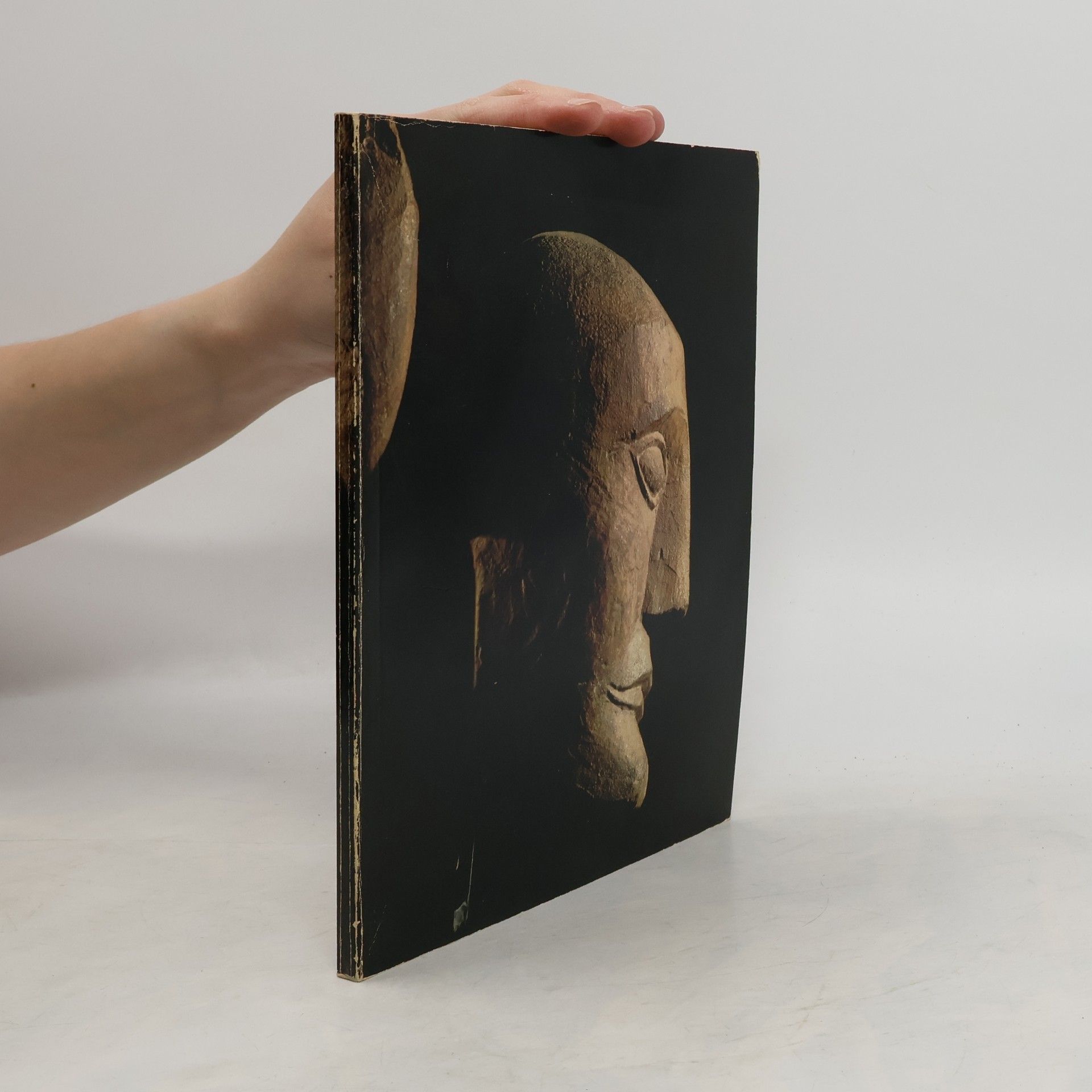 Die Kelten in Gallien