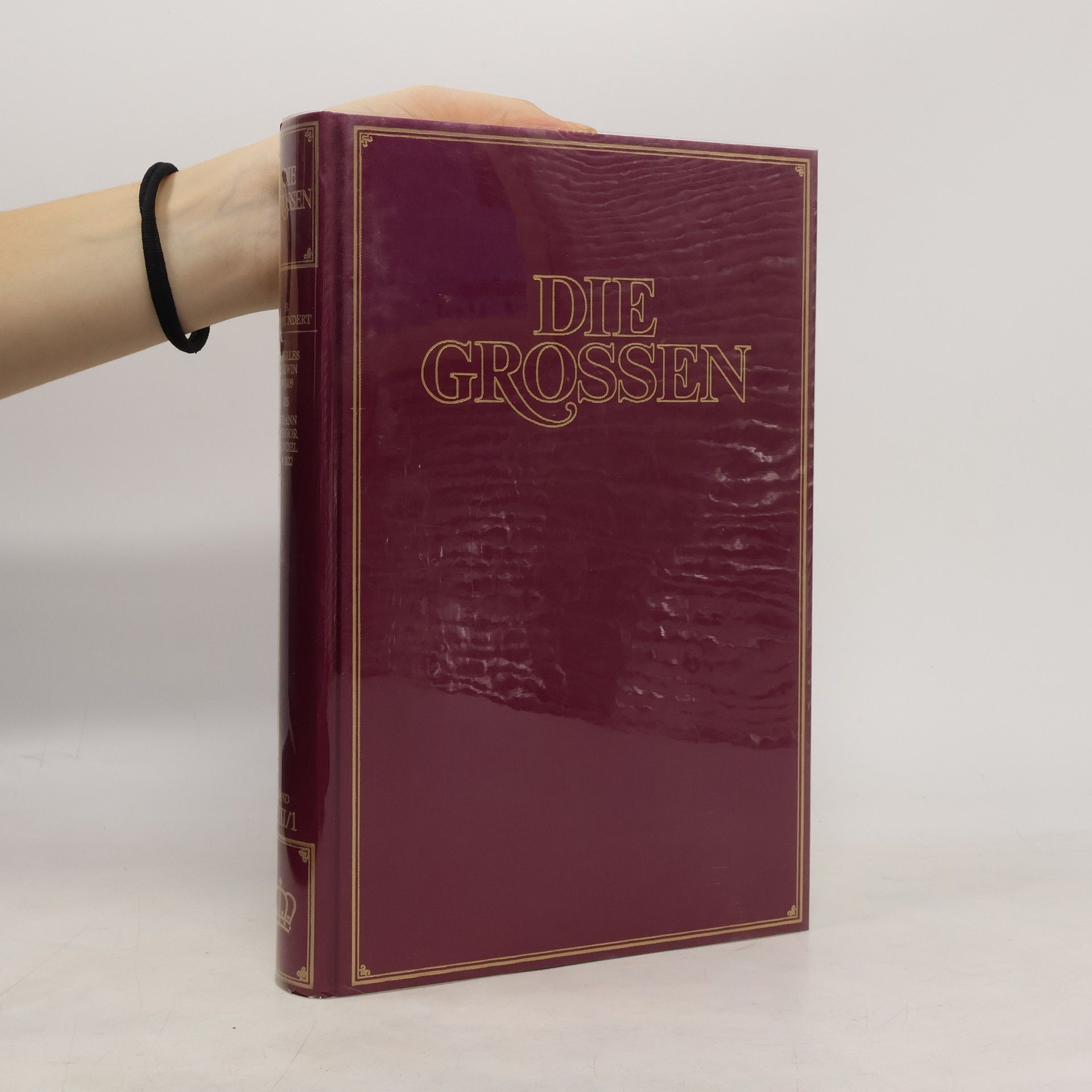 Kolektív autorov Die Grossen VIII/1