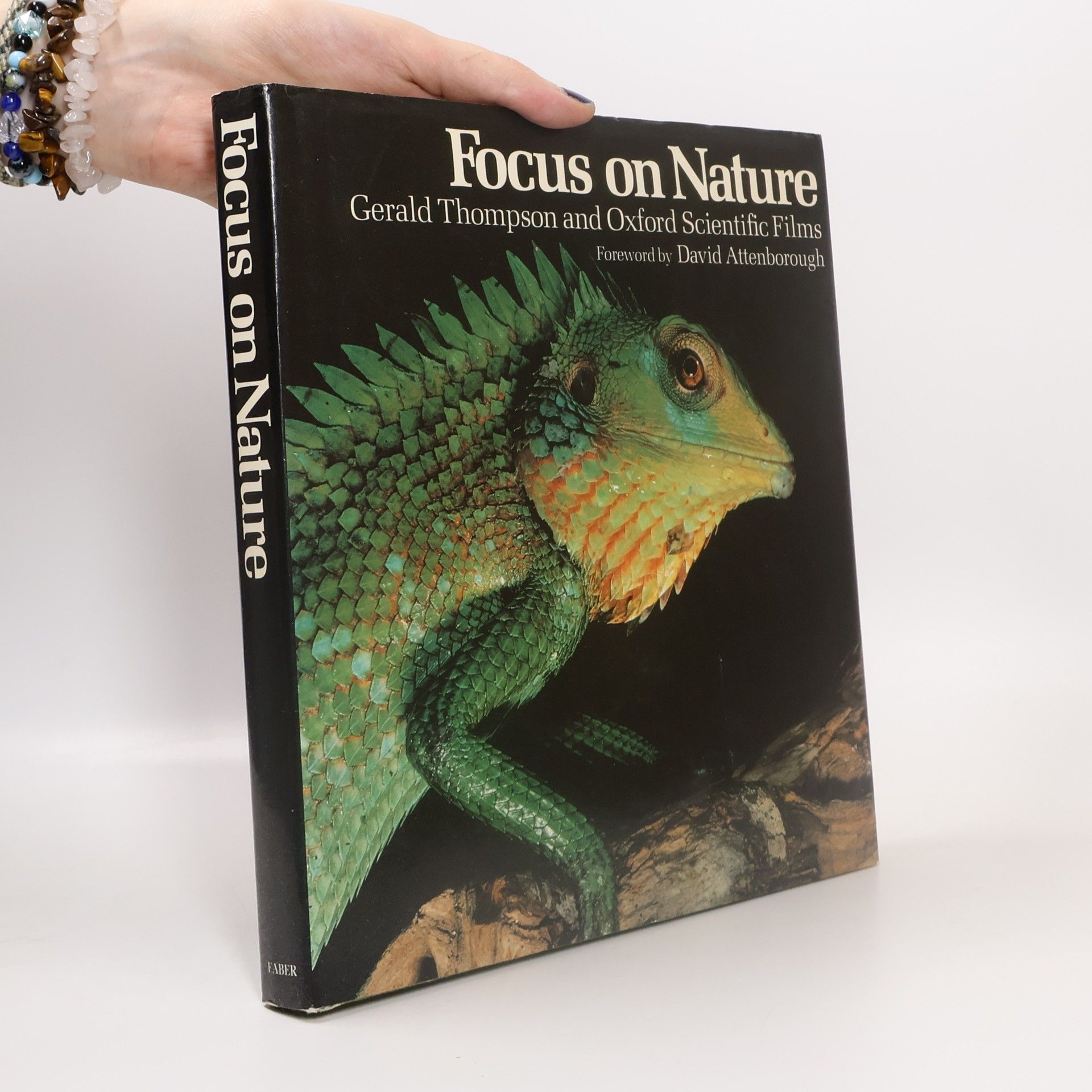 Gerald Thompson Focus on Nature