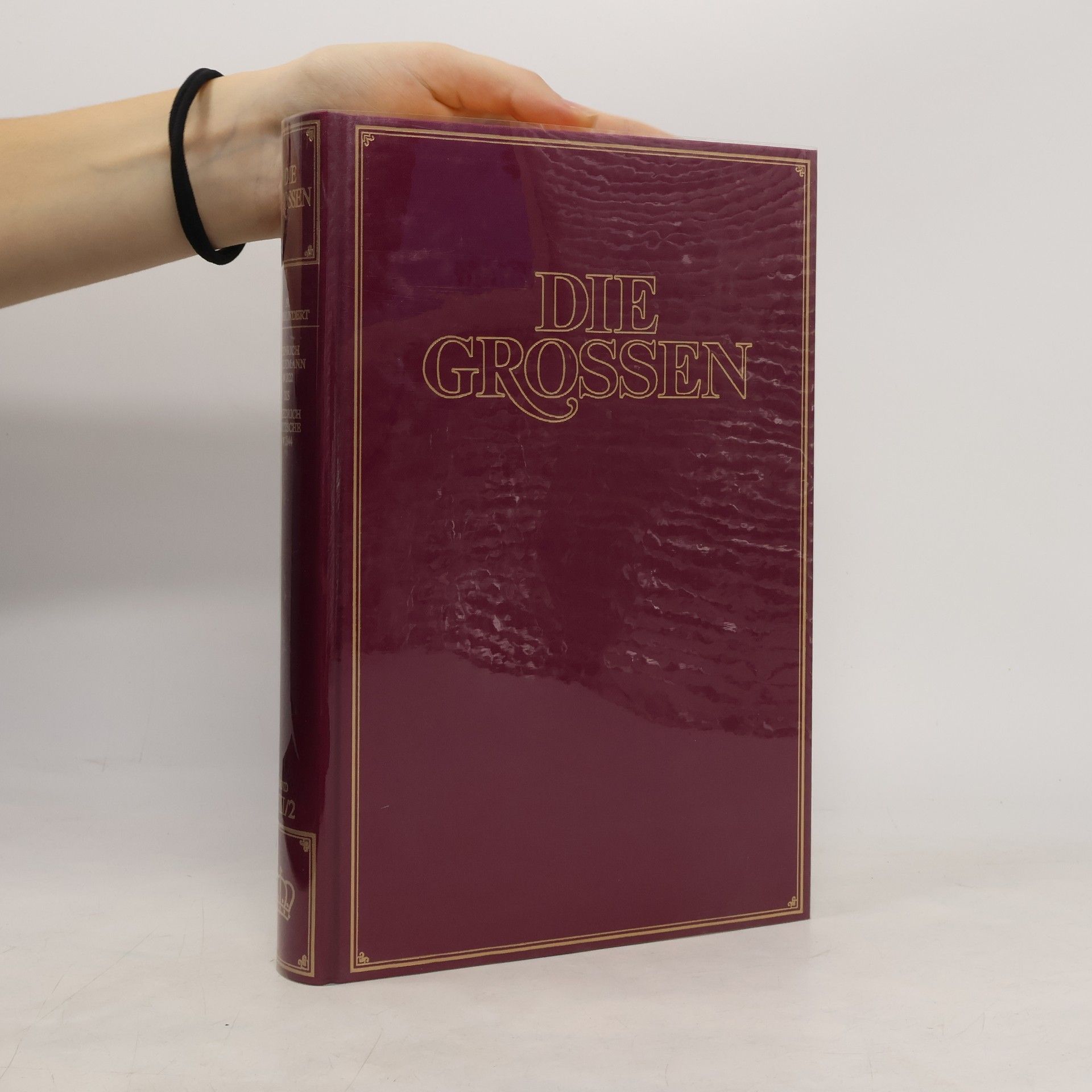 Auteurscollectief Die Grossen VIII/2