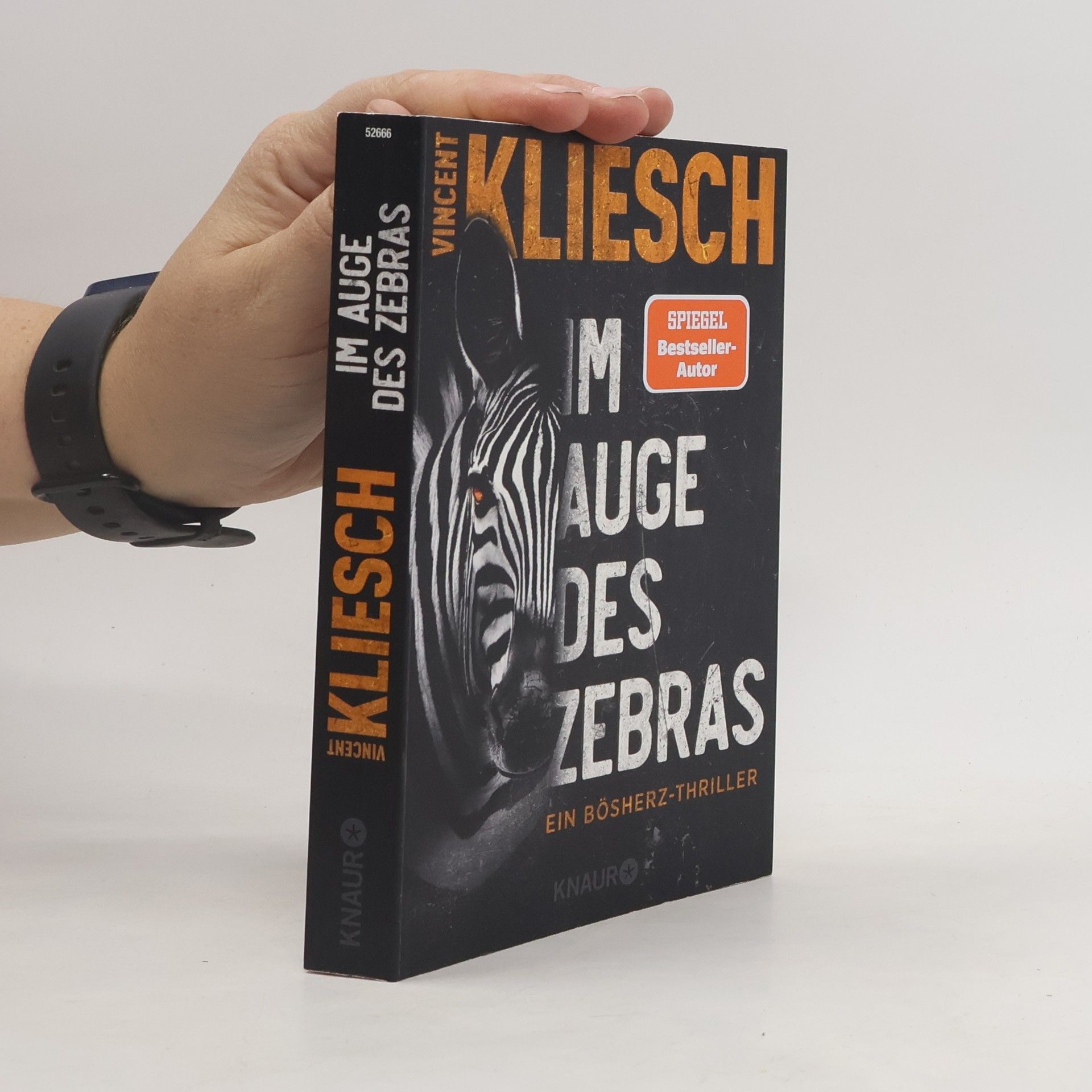 Vincent Kliesch Im Auge des Zebras