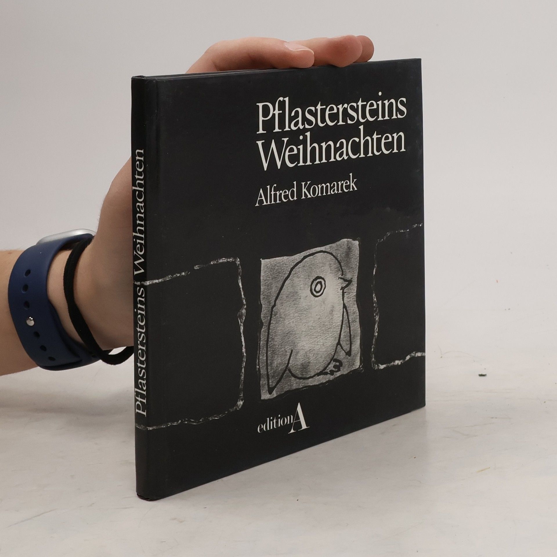 Alfred Komarek Pflastersteins Weihnachten