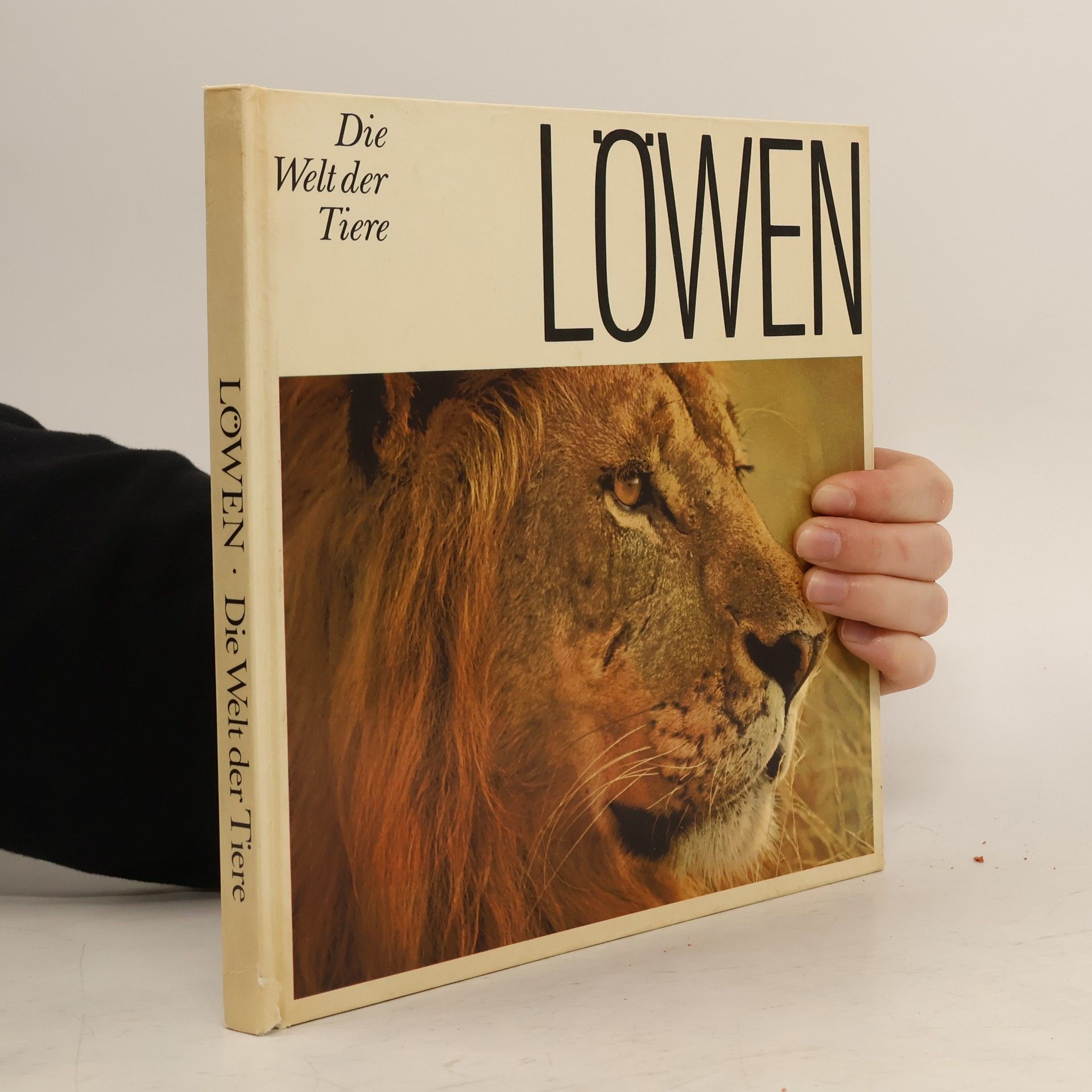 AA.VV. Die Welt der Tiere: Löwen