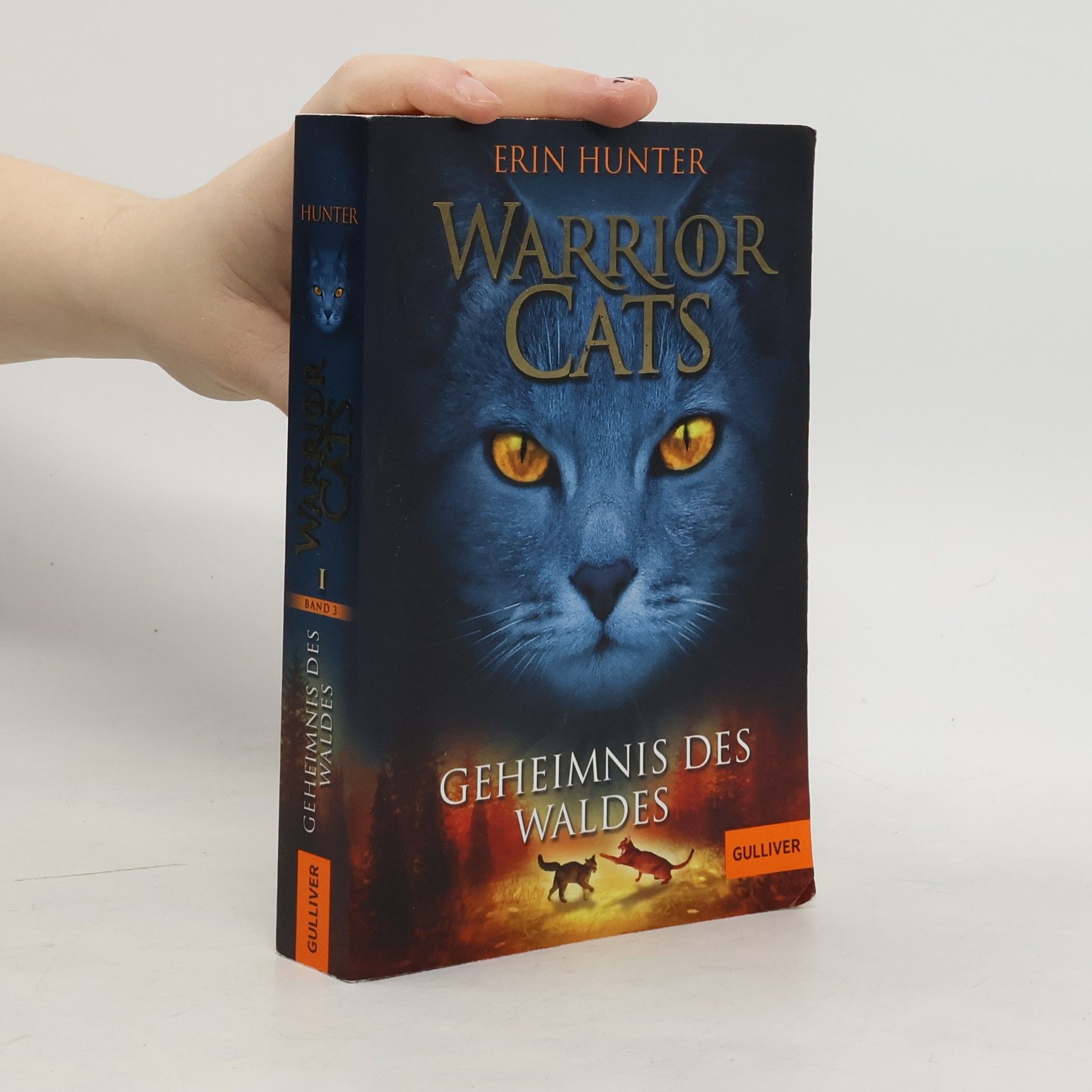 Warrior Cats. Geheimnis des Waldes