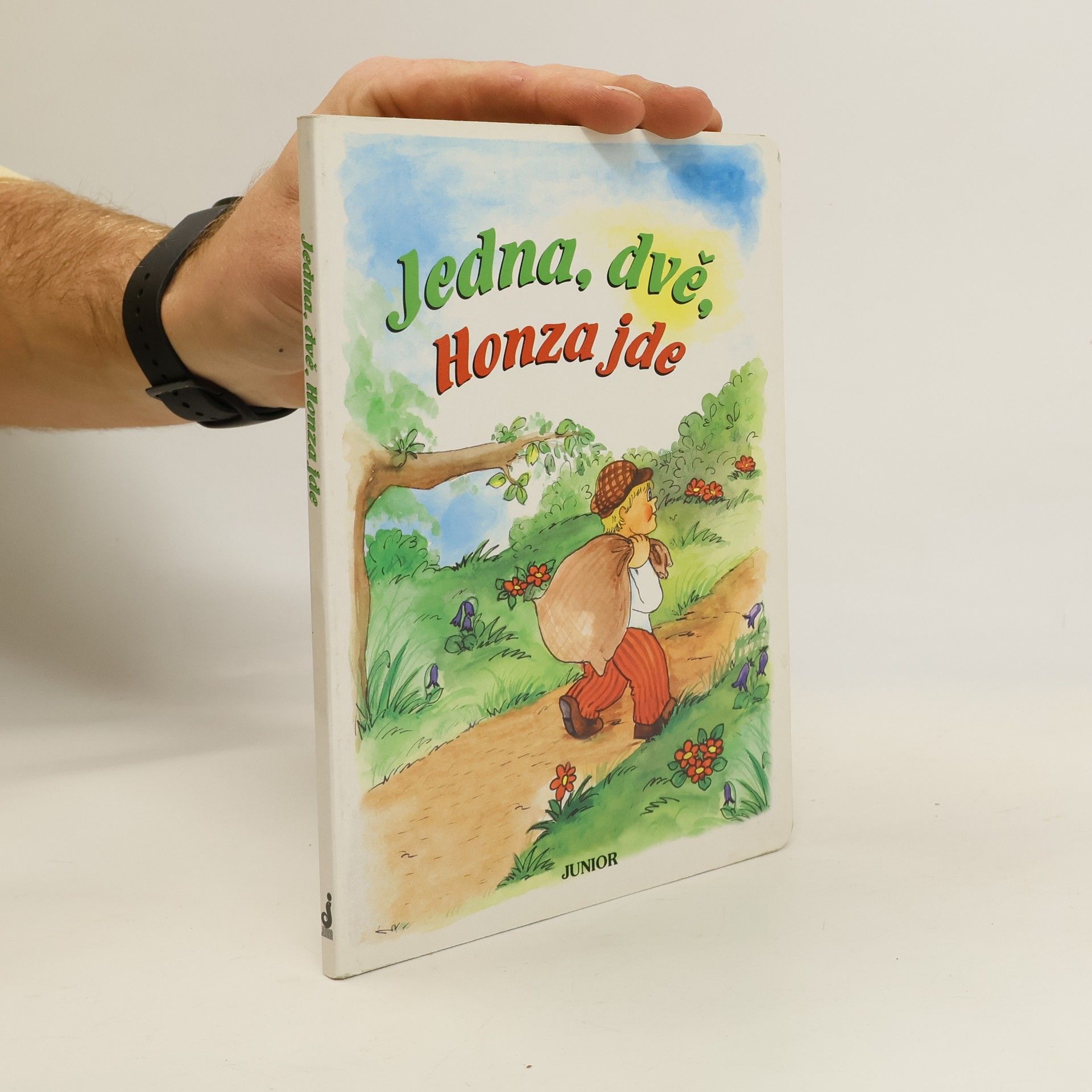 Vladimíra Vopičková Jedna, dvě, Honza jde