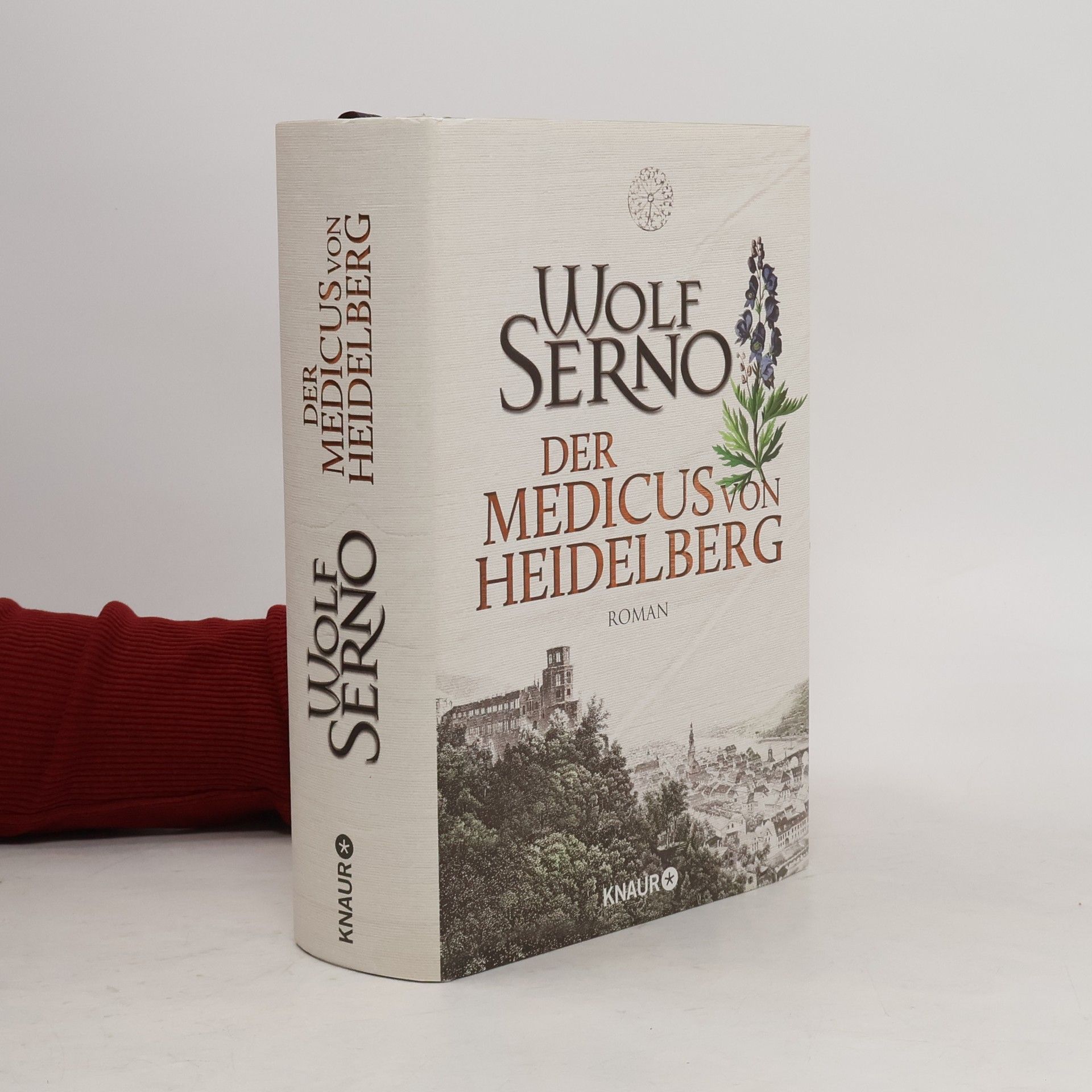 Wolf Serno Der Medicus von Heidelberg