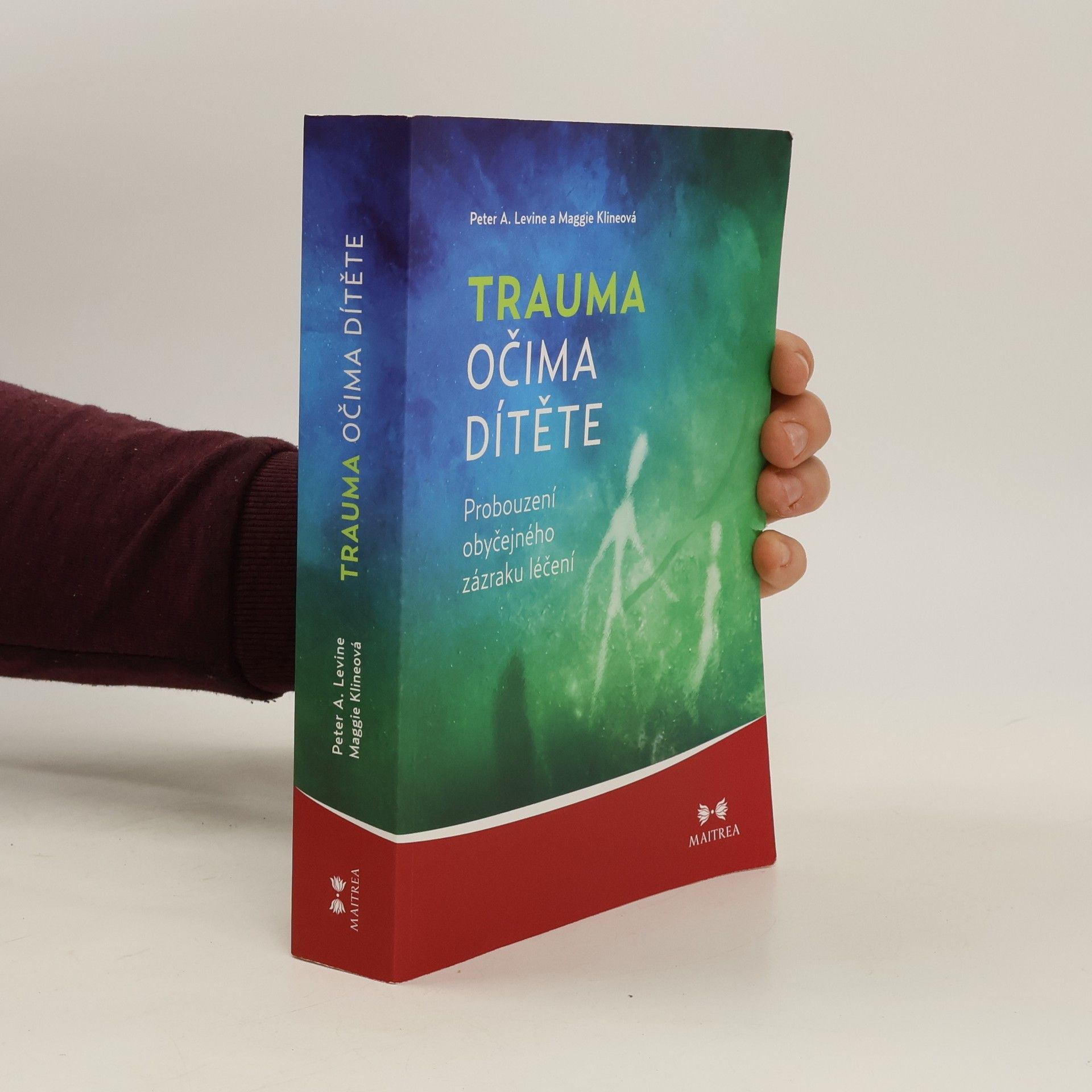 Trauma očima dítěte. Probouzení obyčejného zázraku léčení