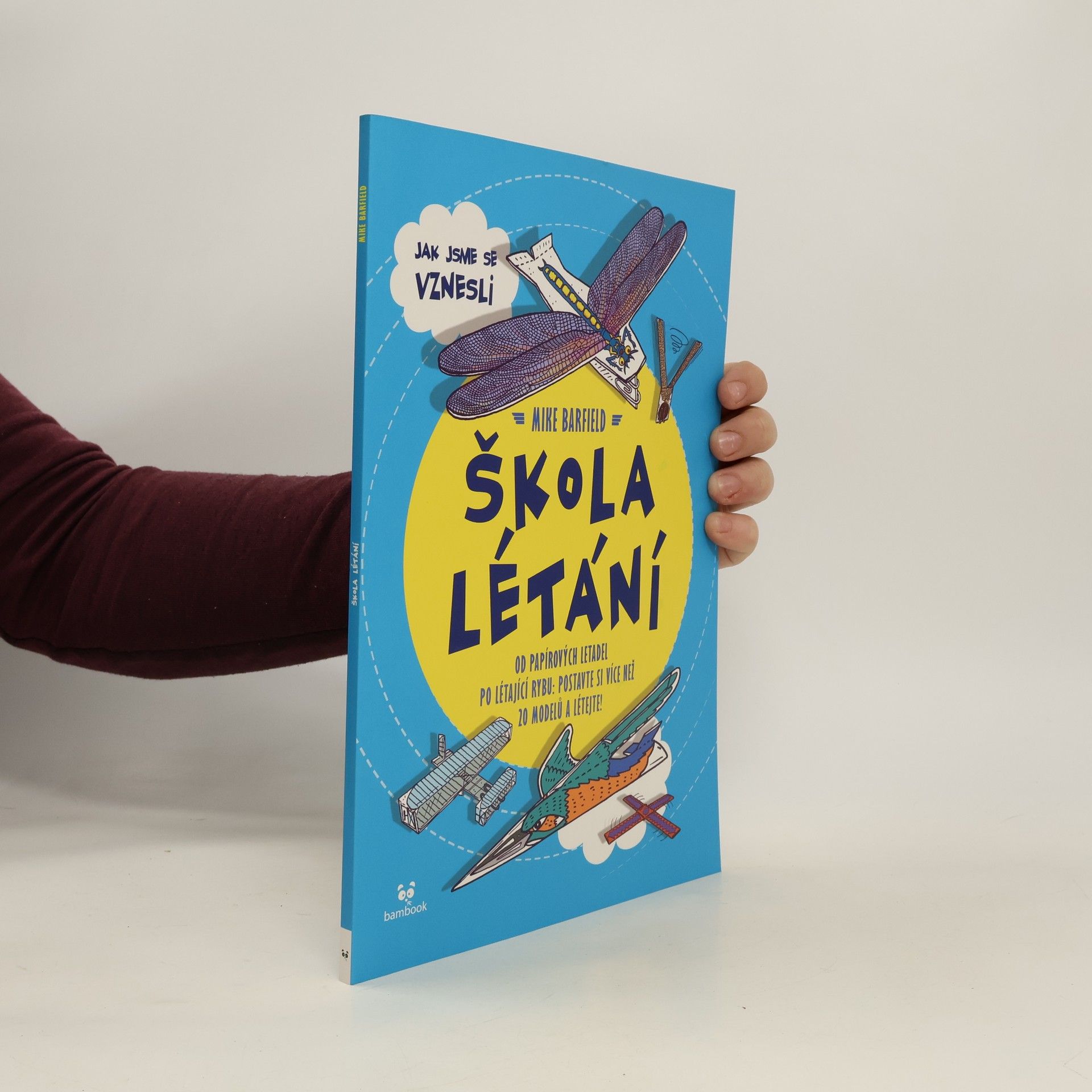 Mike Barfield Škola létání