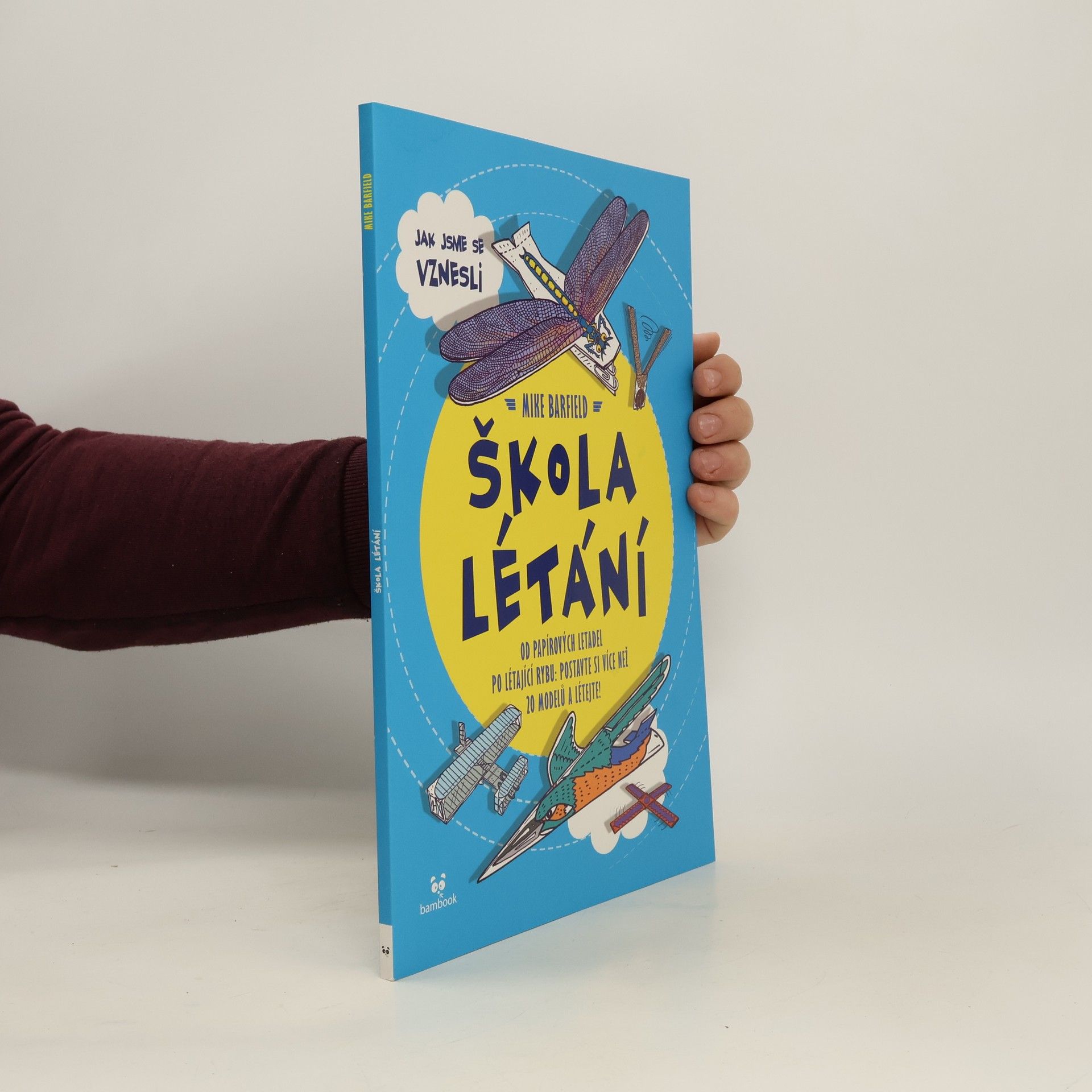 Mike Barfield Škola létání