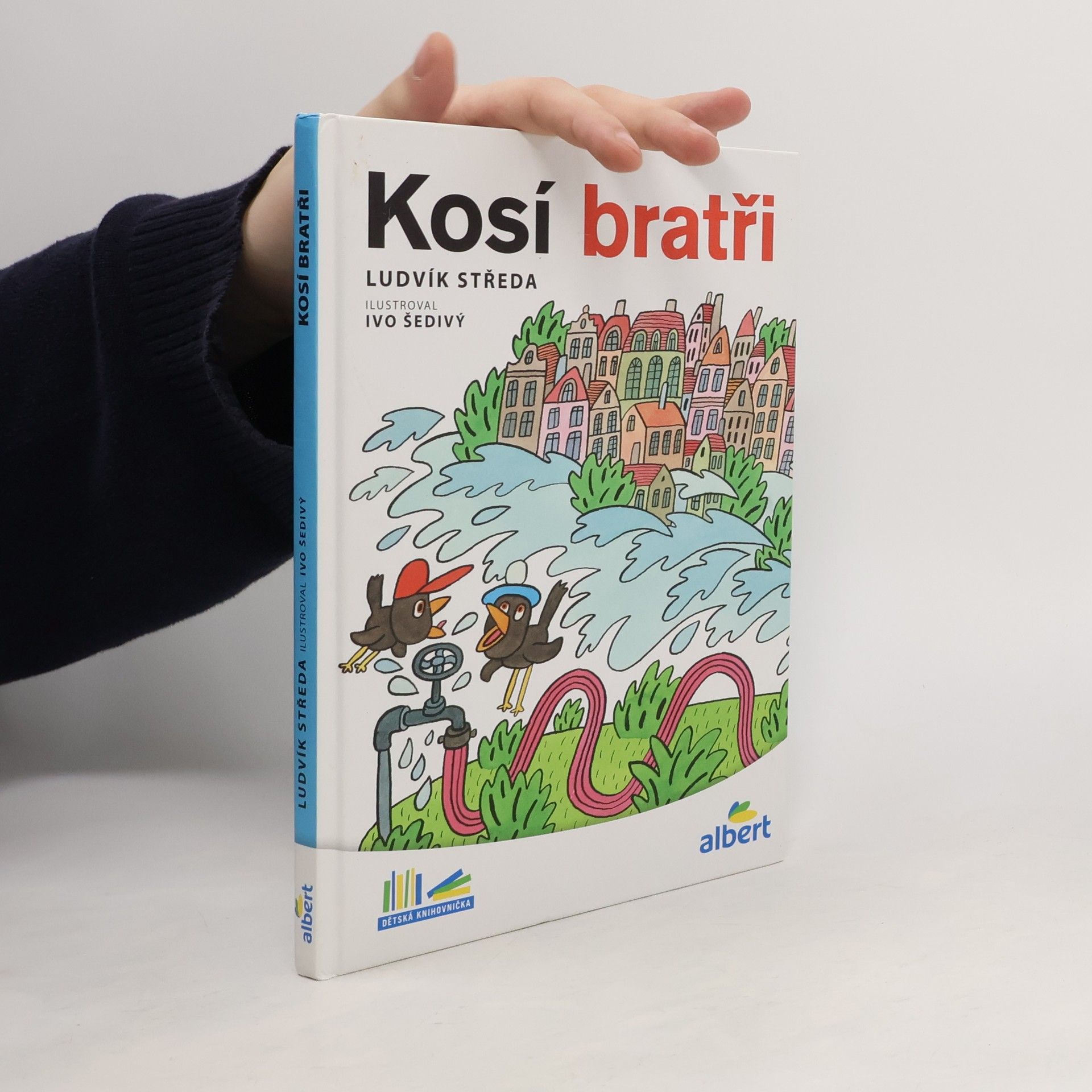 Ludvík Středa Kosí bratři