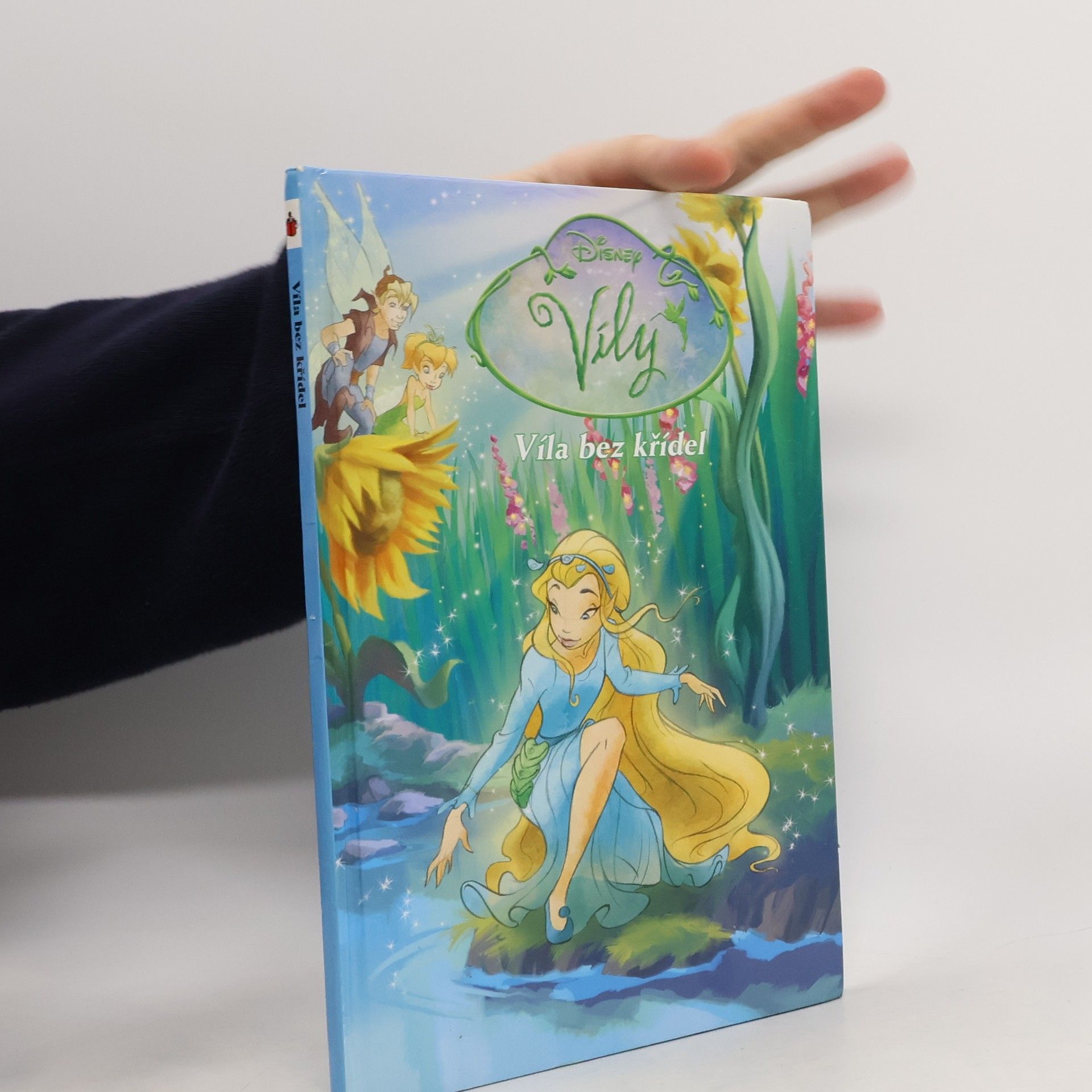 Walt Disney Víla bez křídel