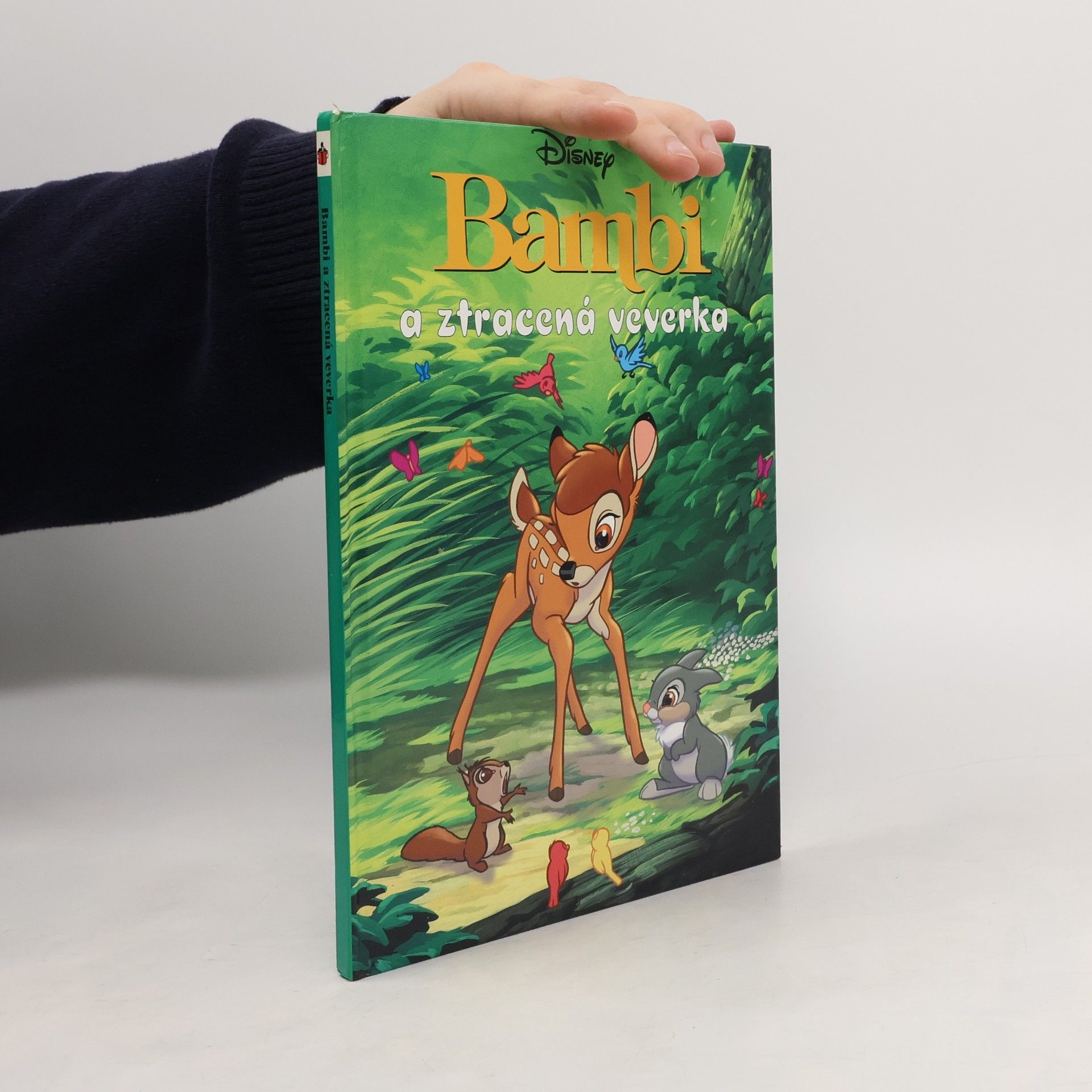 AA.VV. Bambi a ztracená veverka