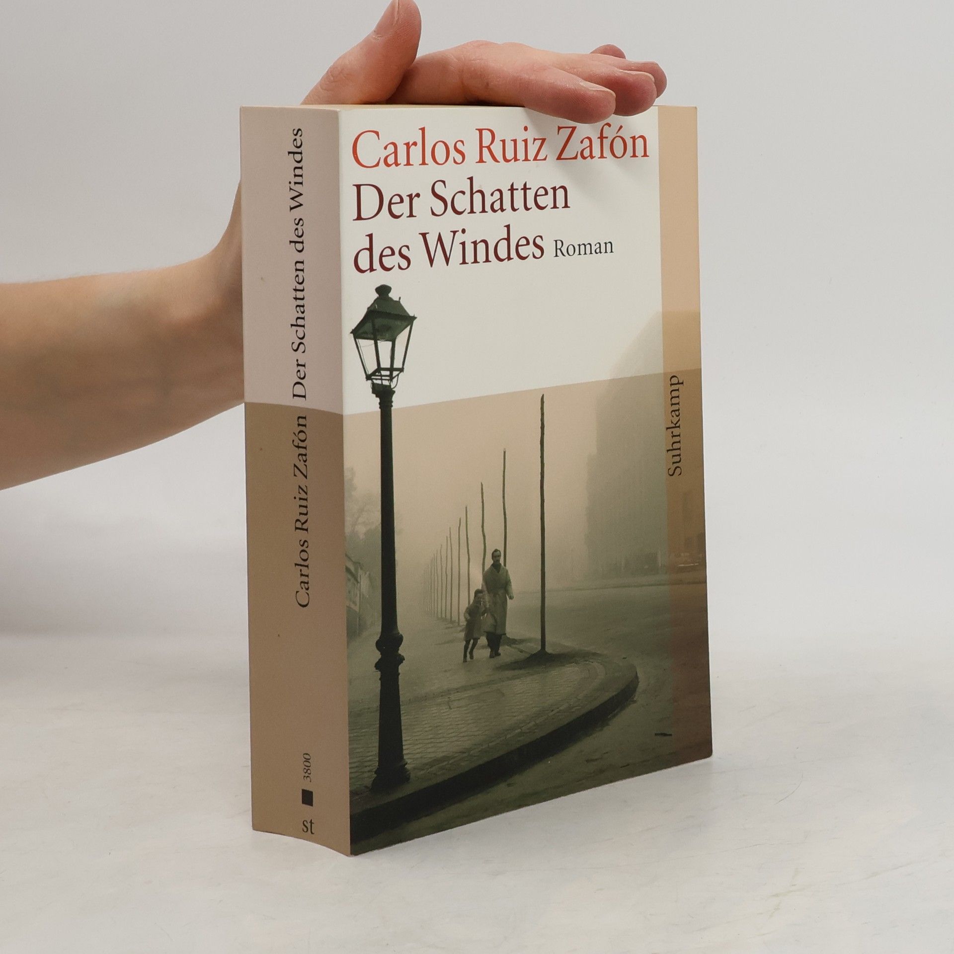 Carlos Ruiz Zafón Der Schatten des Windes