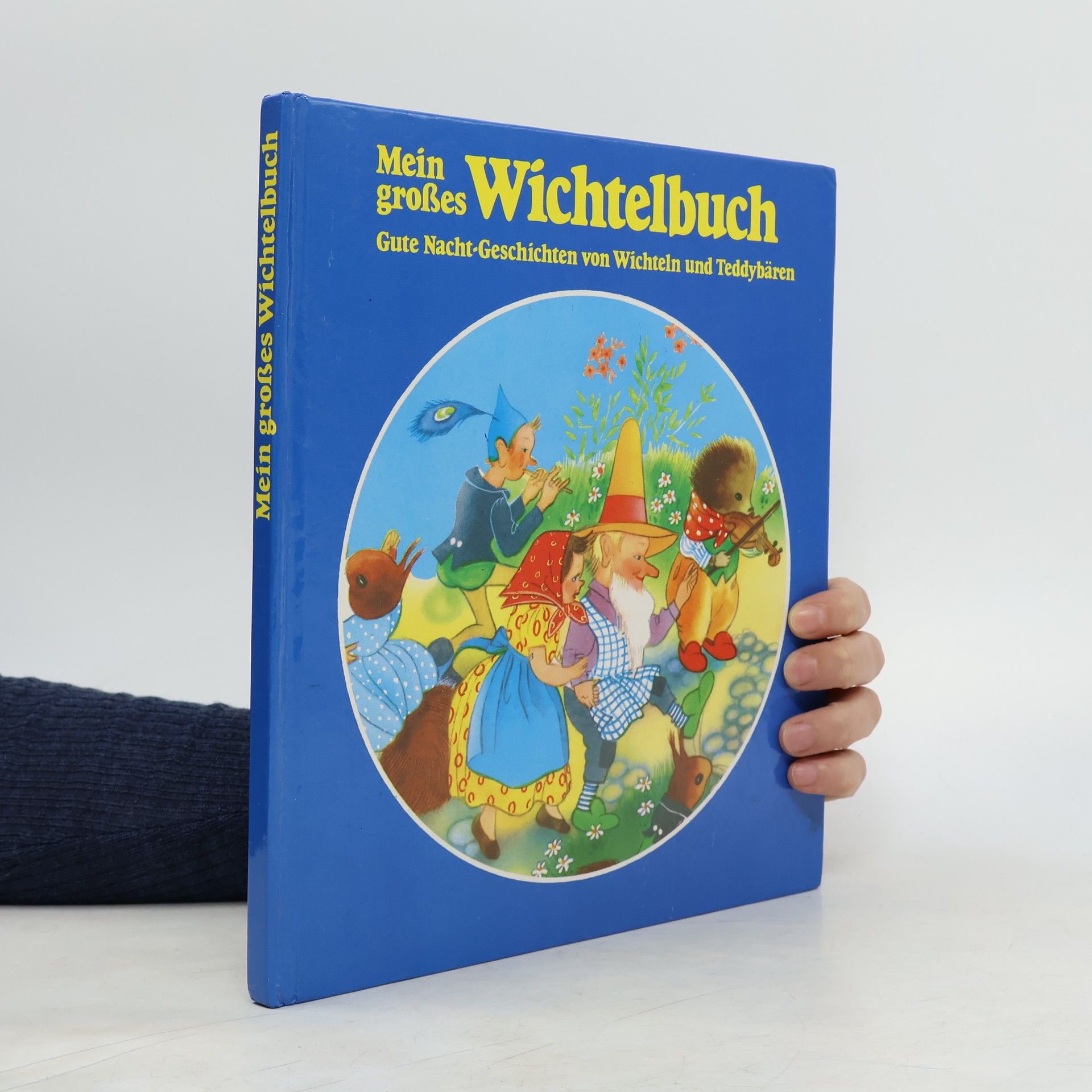 Autorenkollektiv Mein großes Wichtelbuch