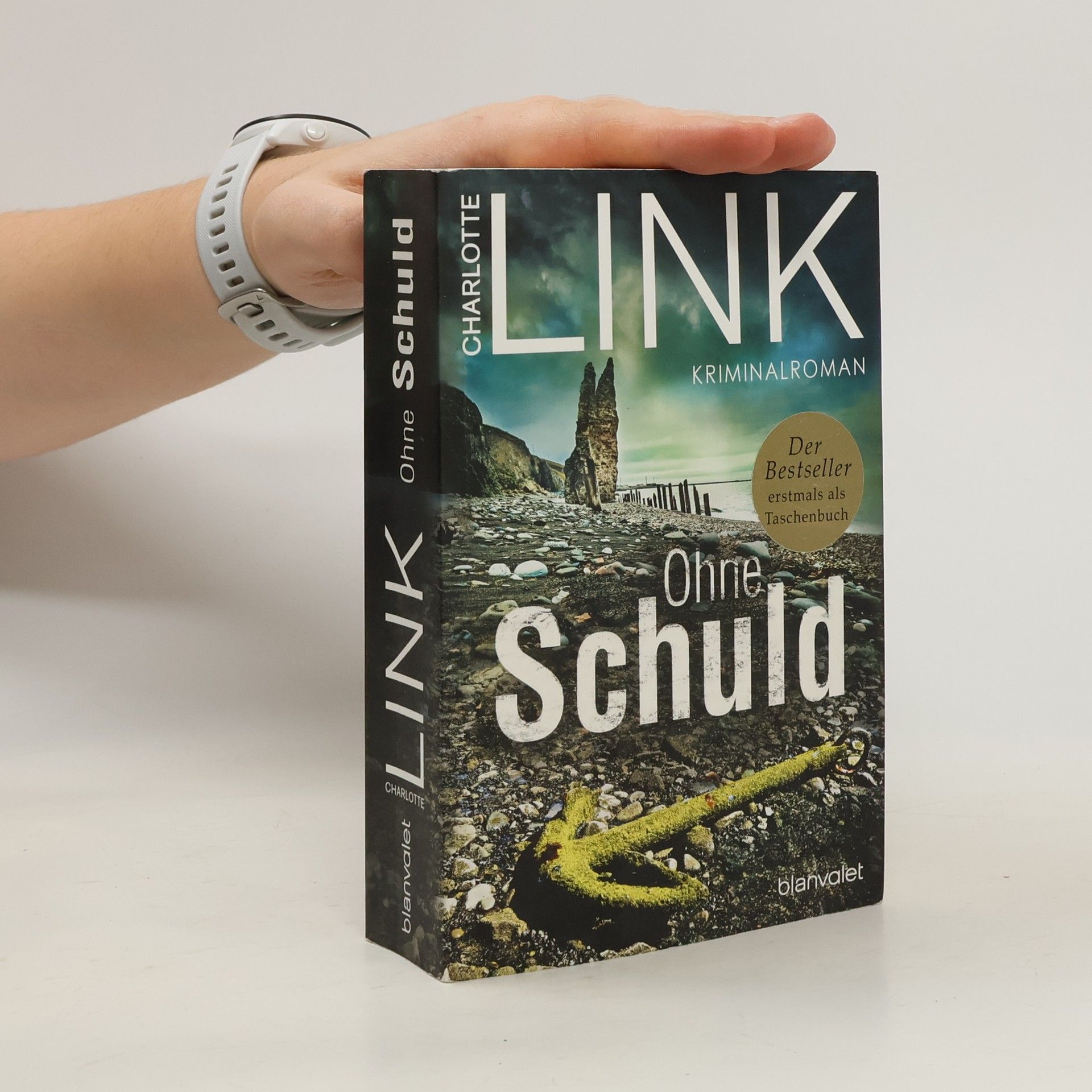 Charlotte Link Ohne Schuld