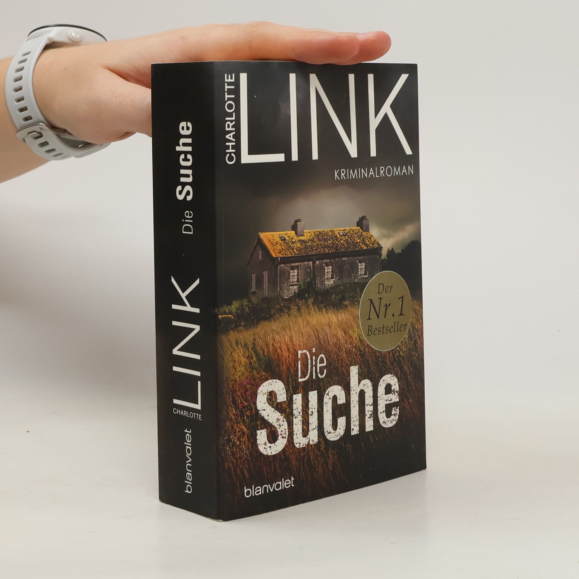 Charlotte Link Die Suche