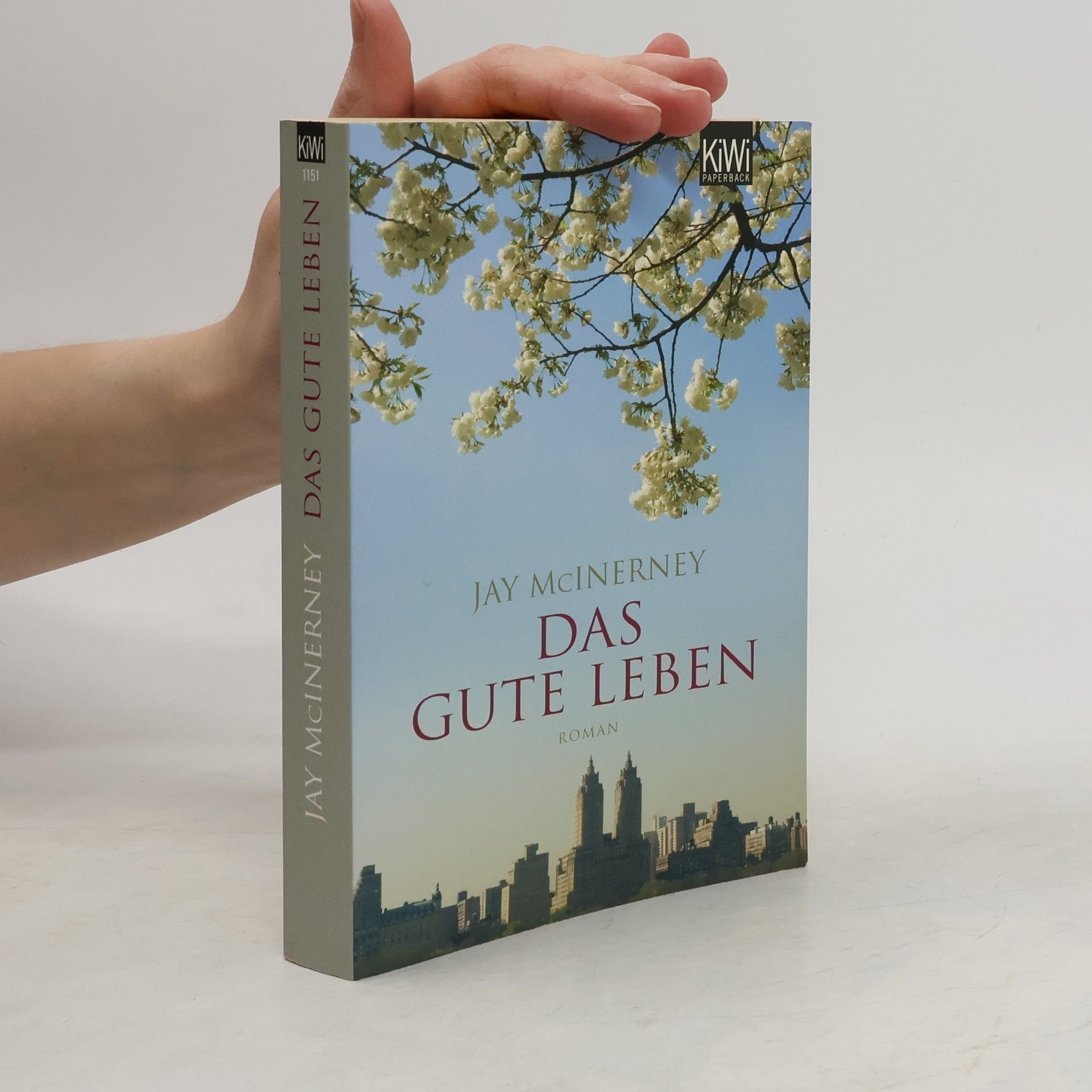 Jay McInerney Das gute Leben