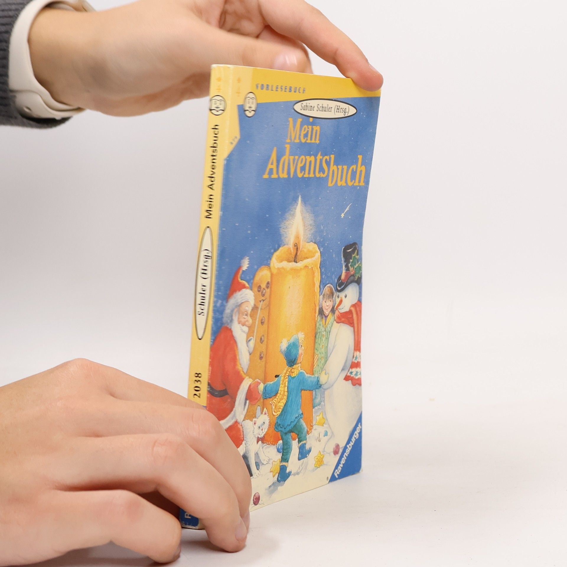 Collectif d'auteurs Mein Adventsbuch