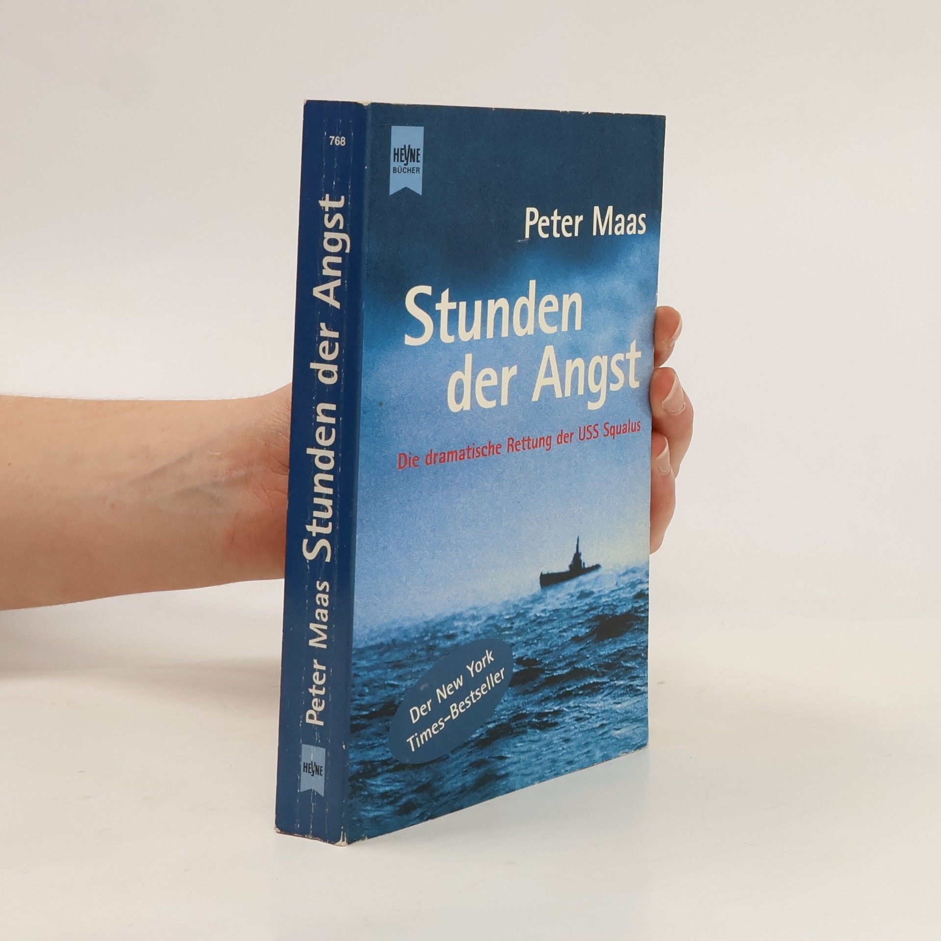 Peter Maas Stunden der Angst