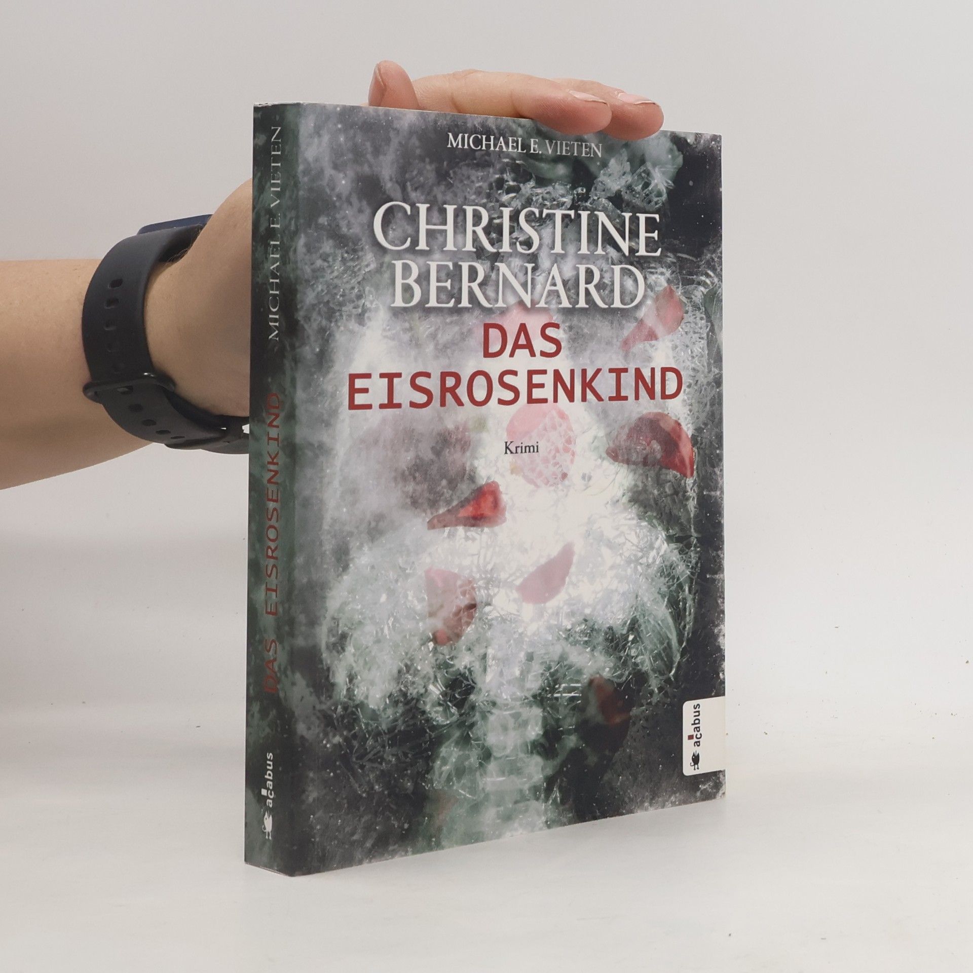Michael E. Vieten Christine Bernard - Das Eisrosenkind