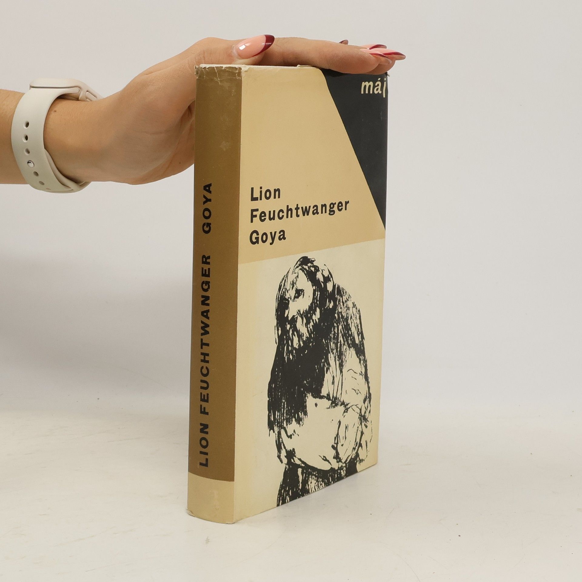 Lion Feuchtwanger Goya