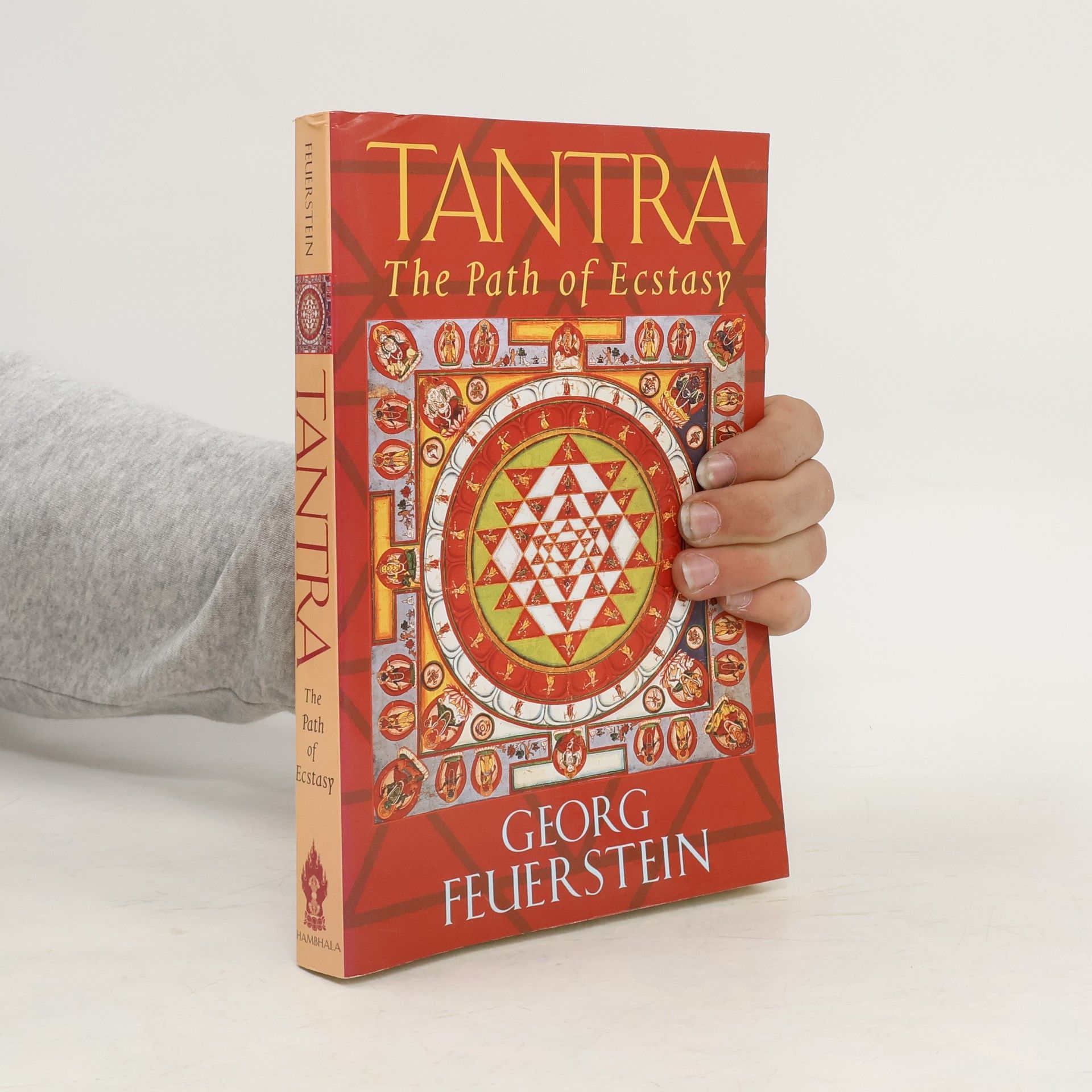 Georg Feuerstein Tantra : The Path of Ecstasy