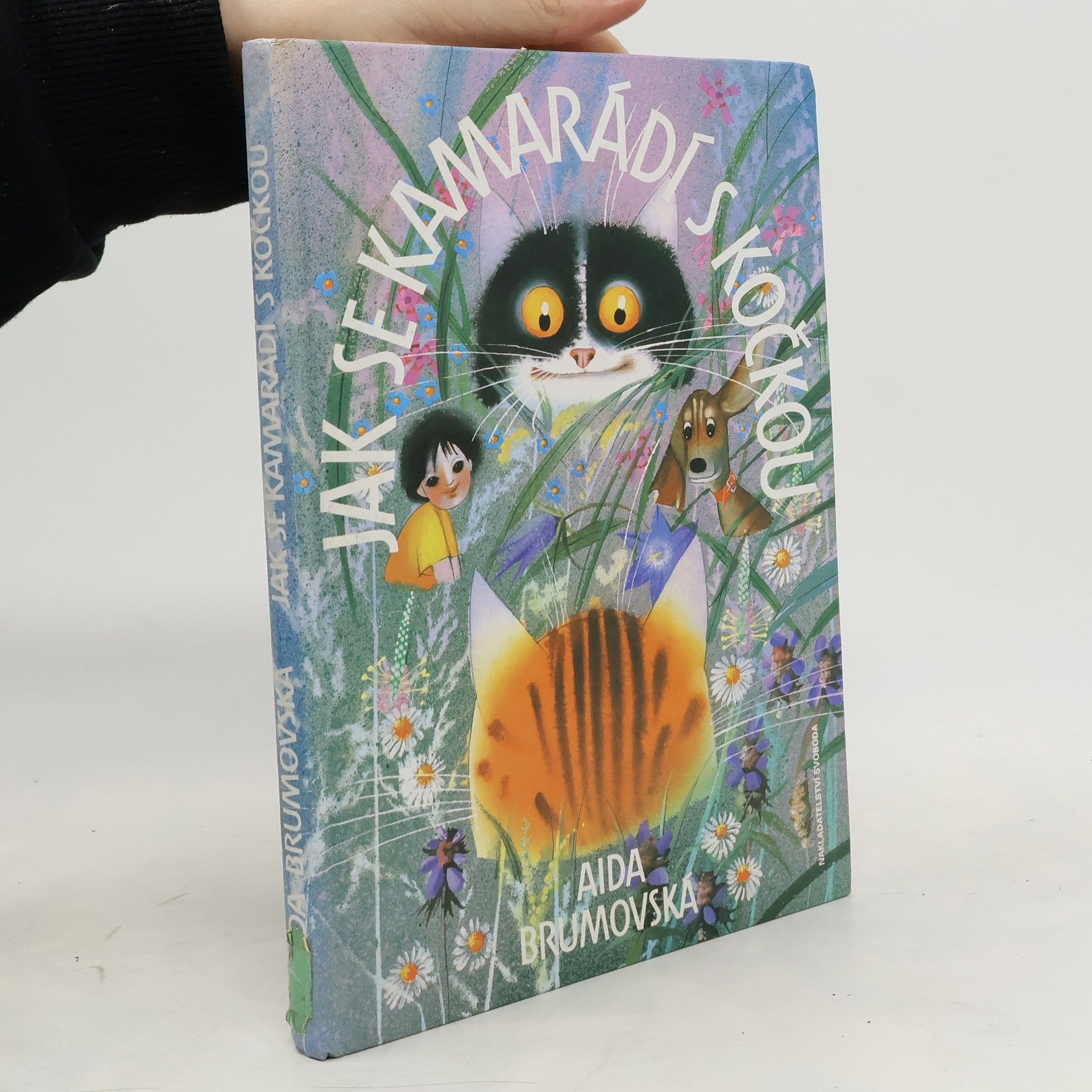 Aida Brumovská Jak se kamarádí s kočkou