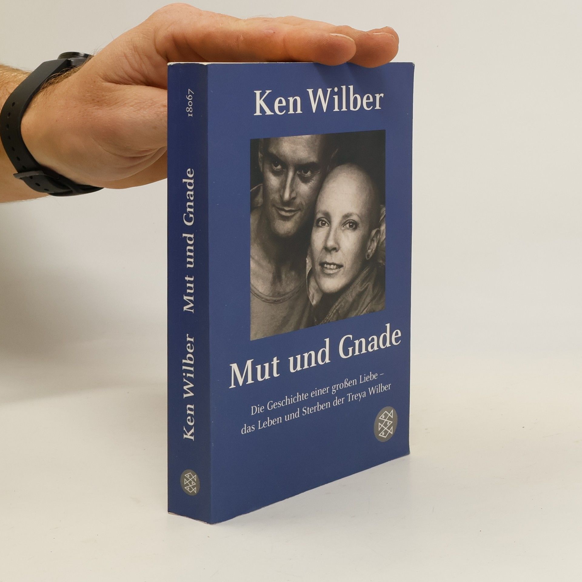 Ken Wilber Mut und Gnade