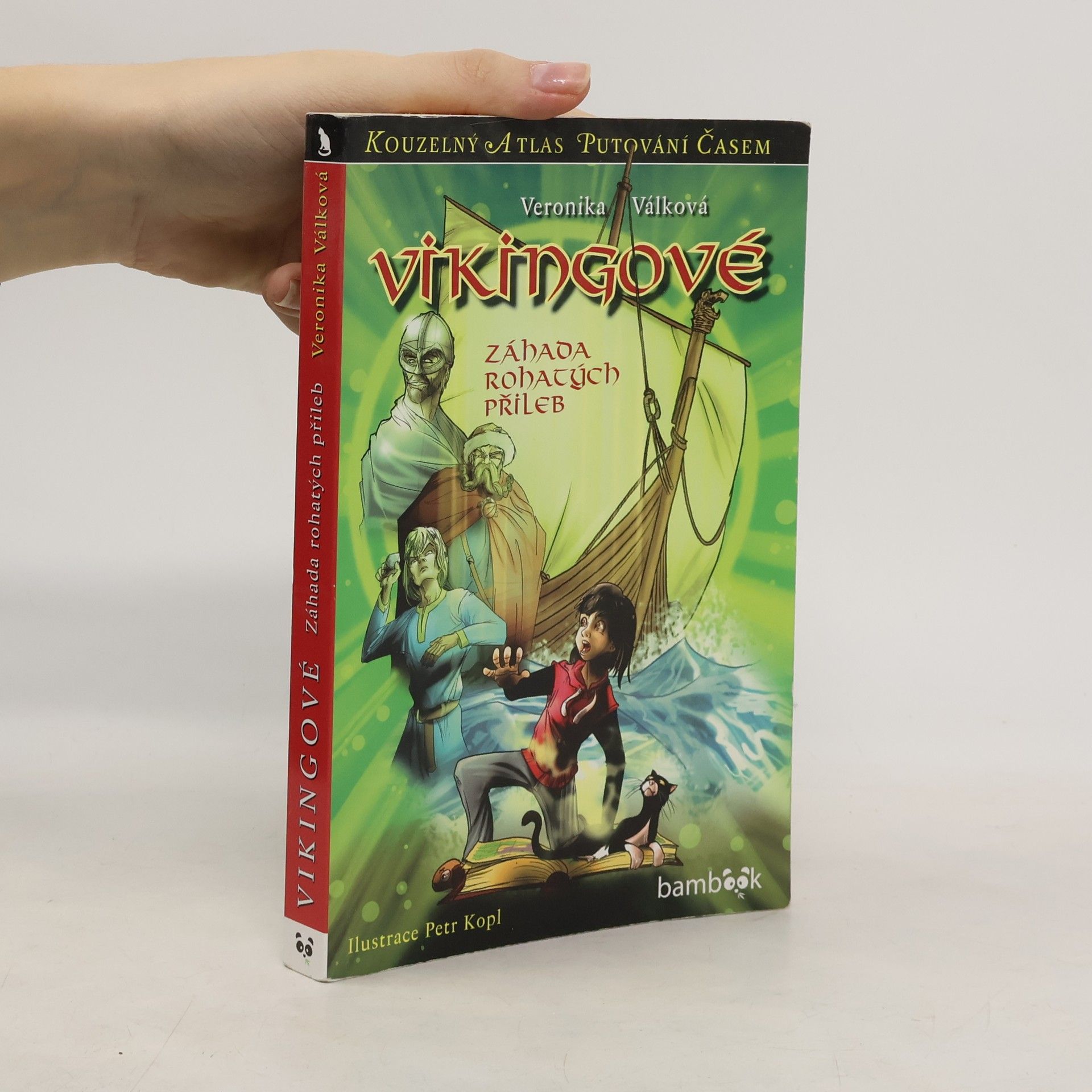 Veronika Válková Vikingové : záhada rohatých přileb