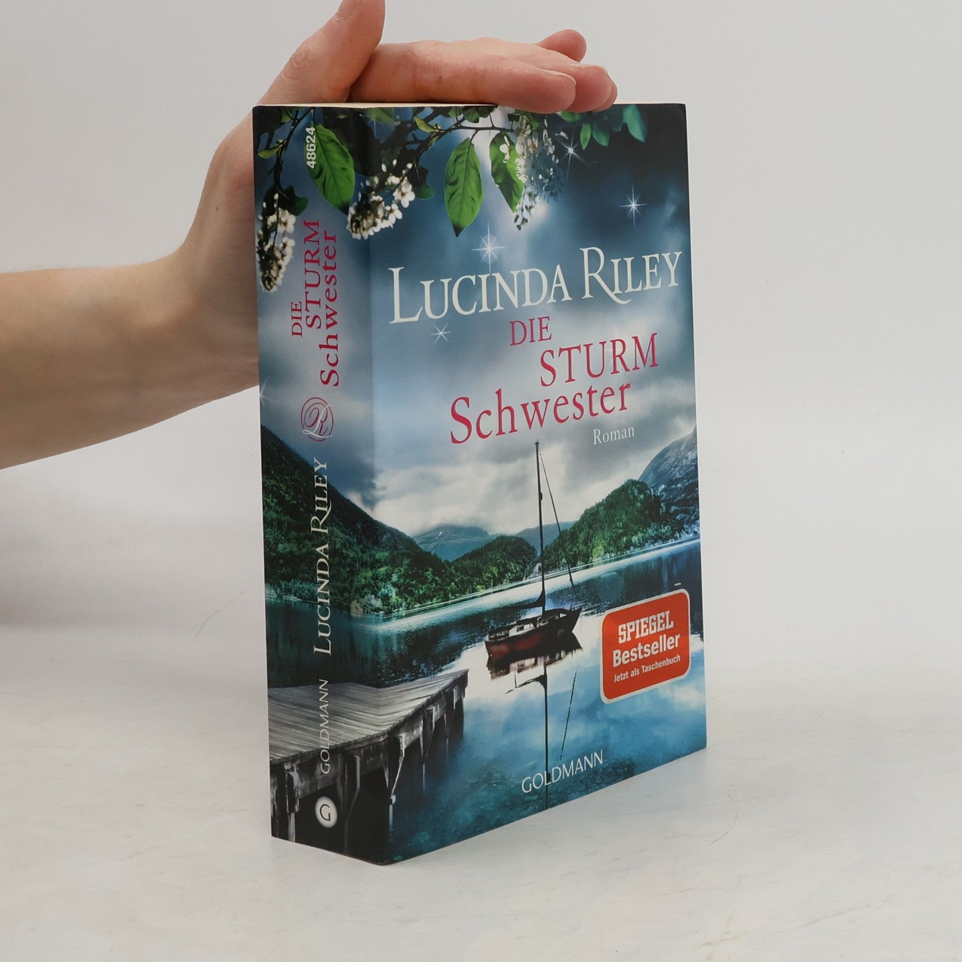 Lucinda Riley Die Sturmschwester